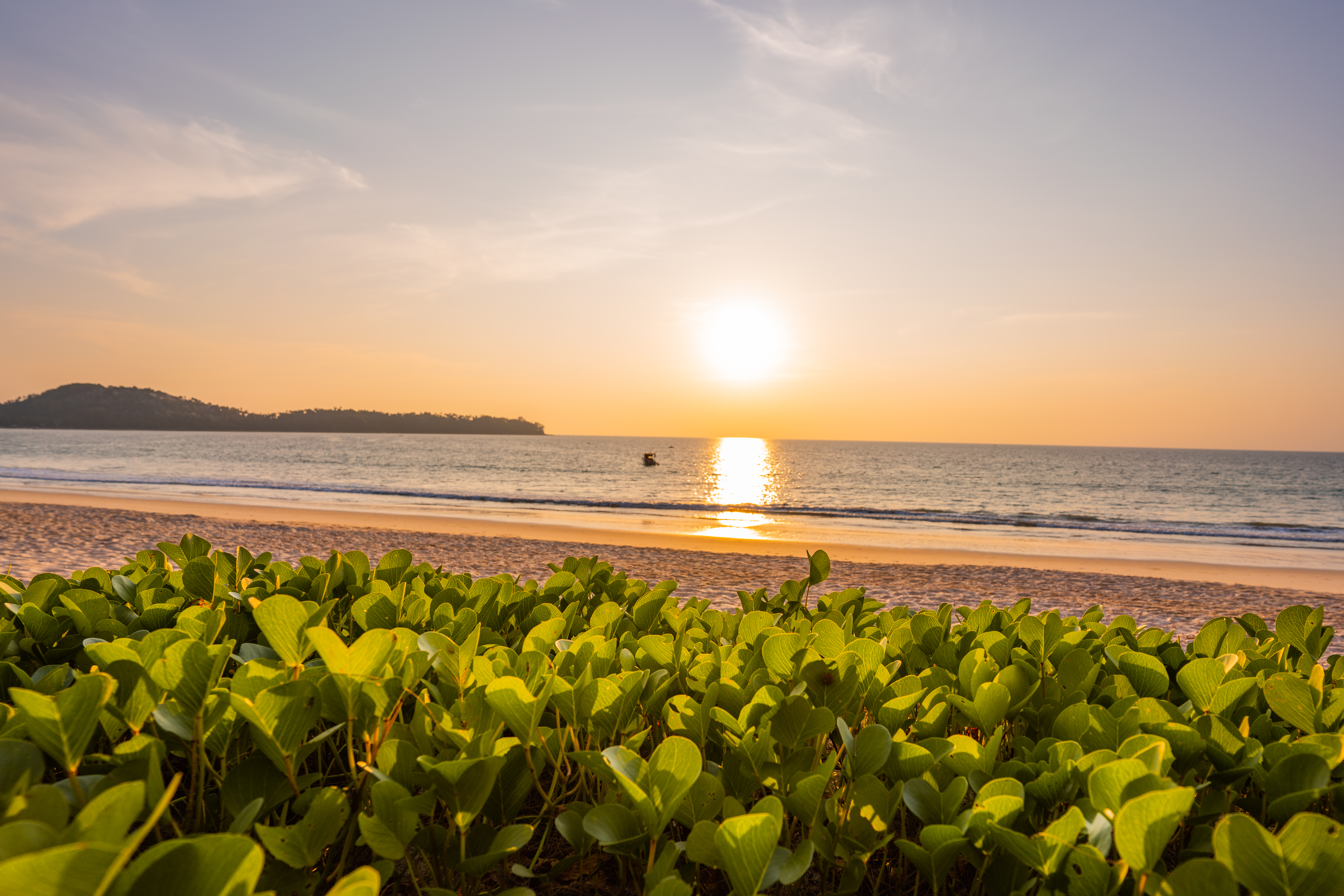 Bangtao stranden er 8 km lang. Glæd jer!