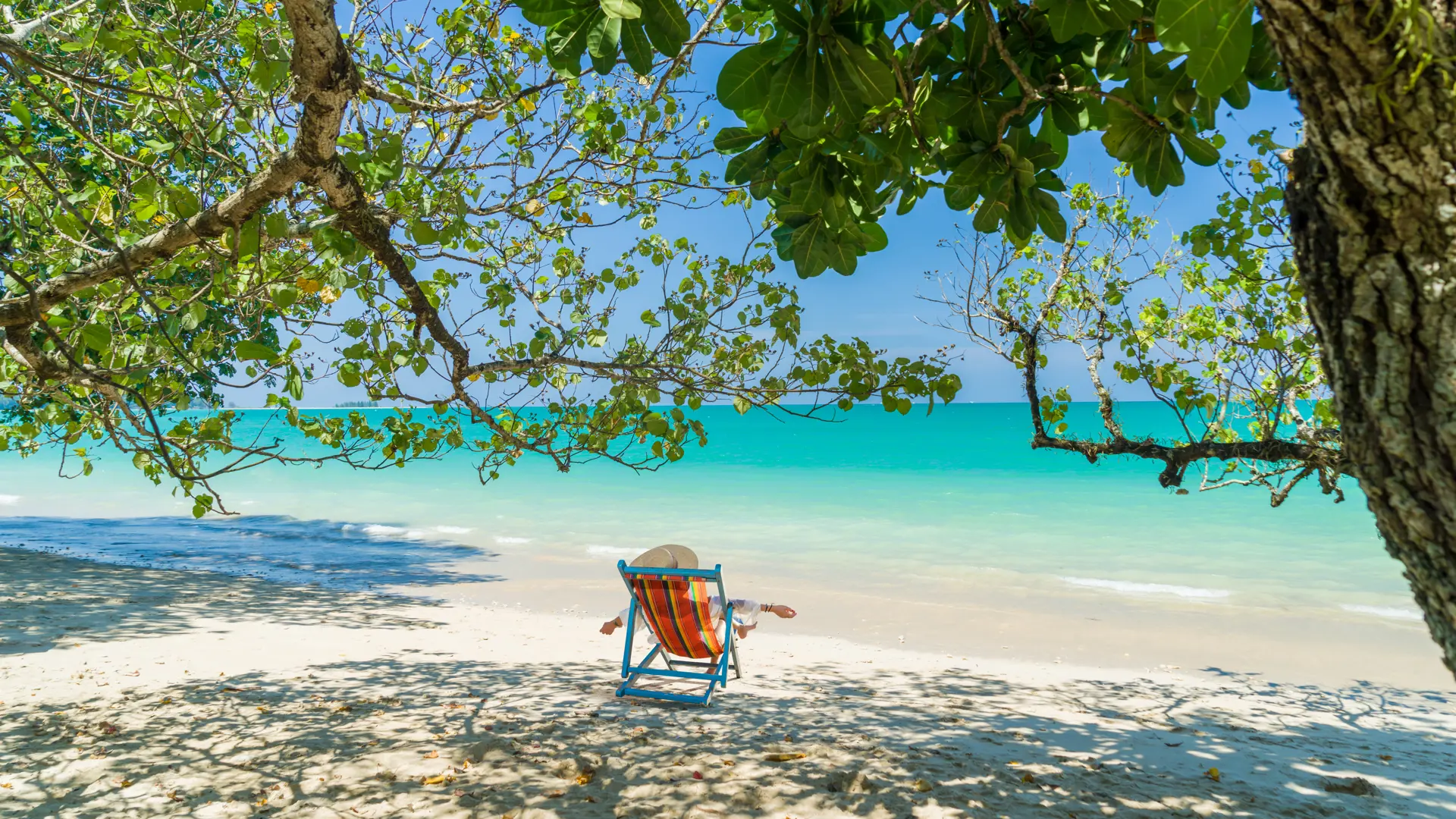 Shutterstock 488007703