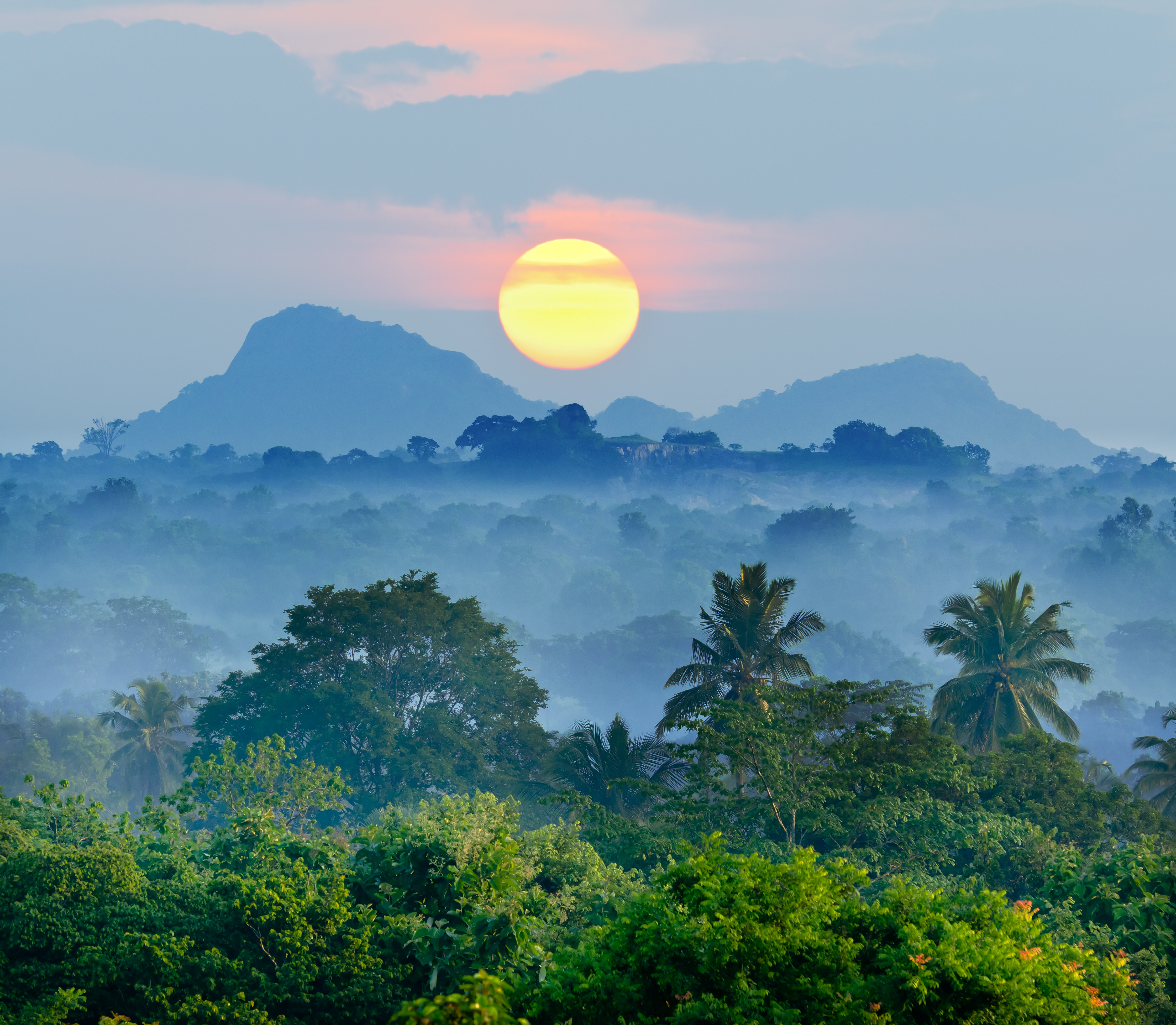 sunrise in the jungles of Sri Lanka.jpg