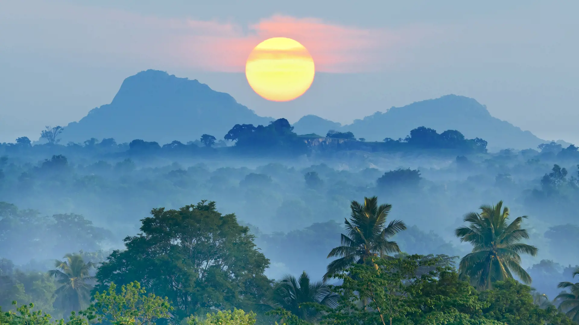 sunrise in the jungles of Sri Lanka.jpg