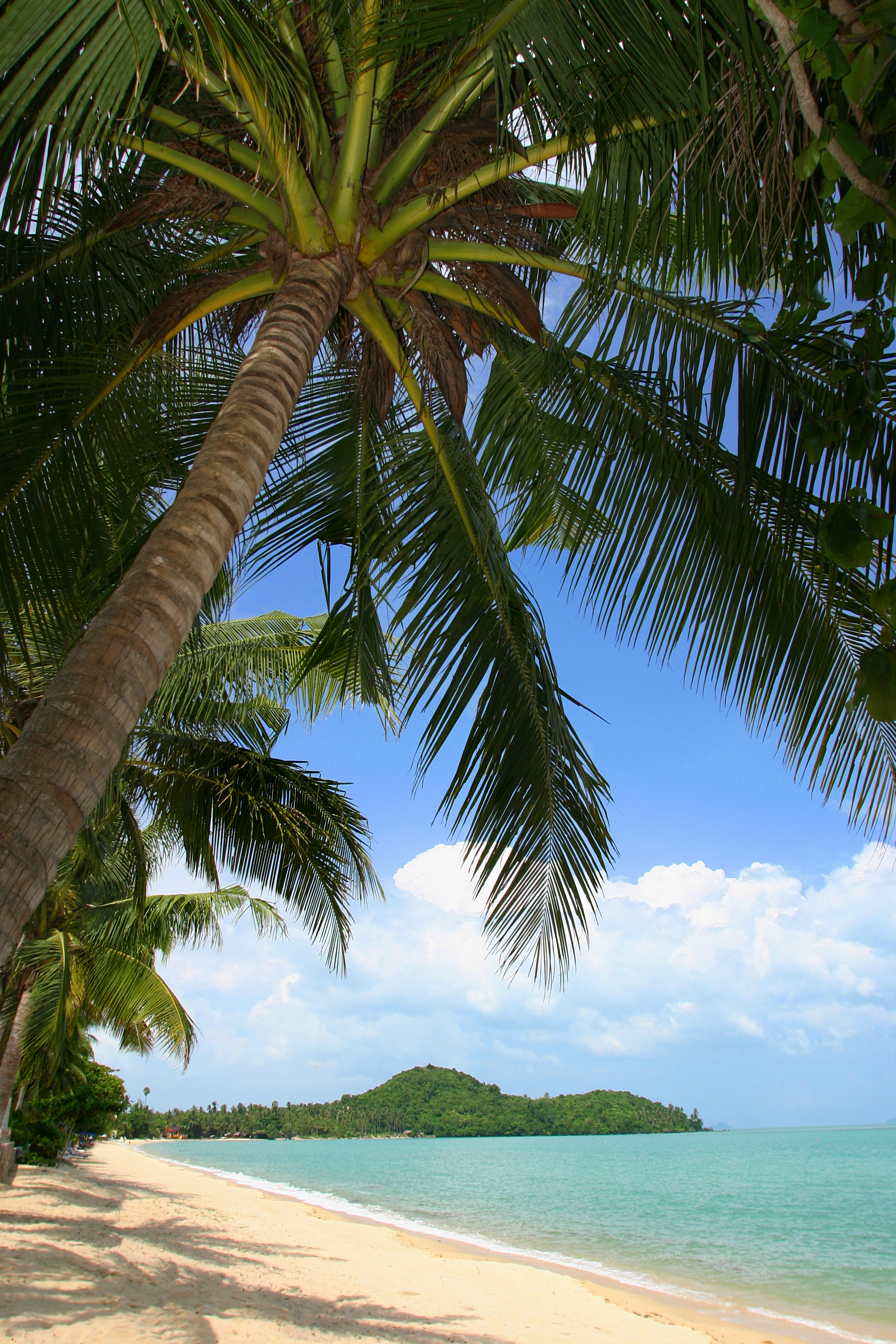 Koh Samui Bo Phut Strand