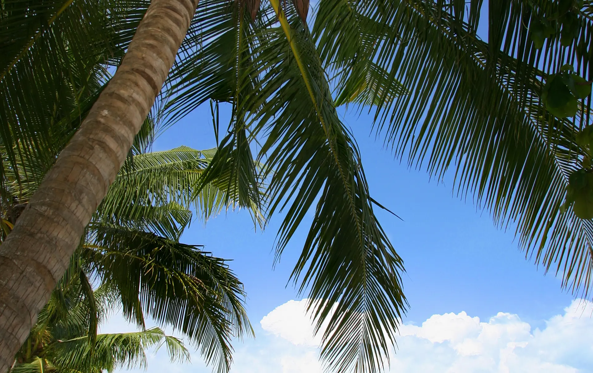 Koh Samui Bo Phut Strand