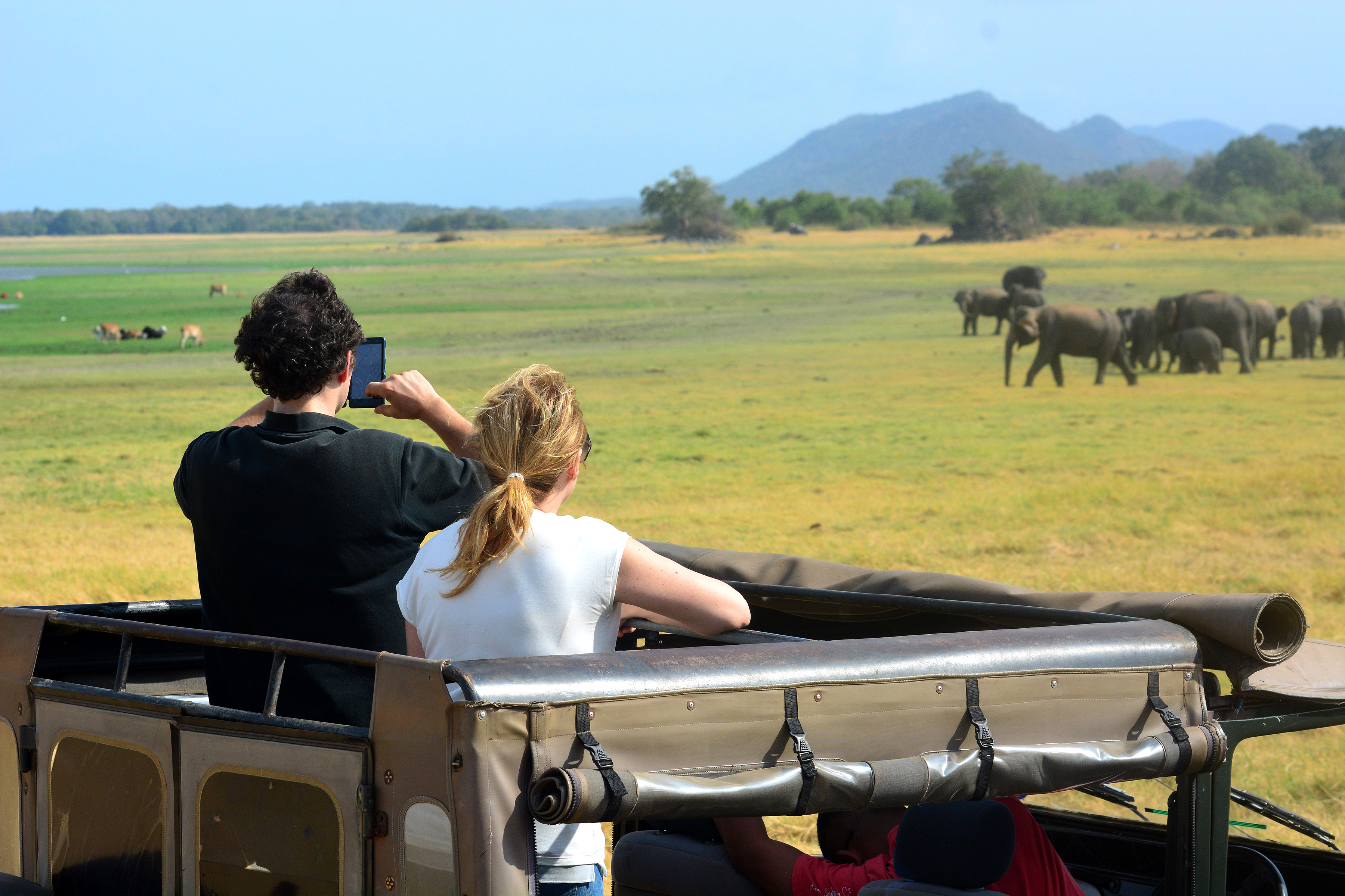 dag 5shutterstock_249015388 Tourists in safari jeeps in Minneriya national park in Sri Lanka..jpg