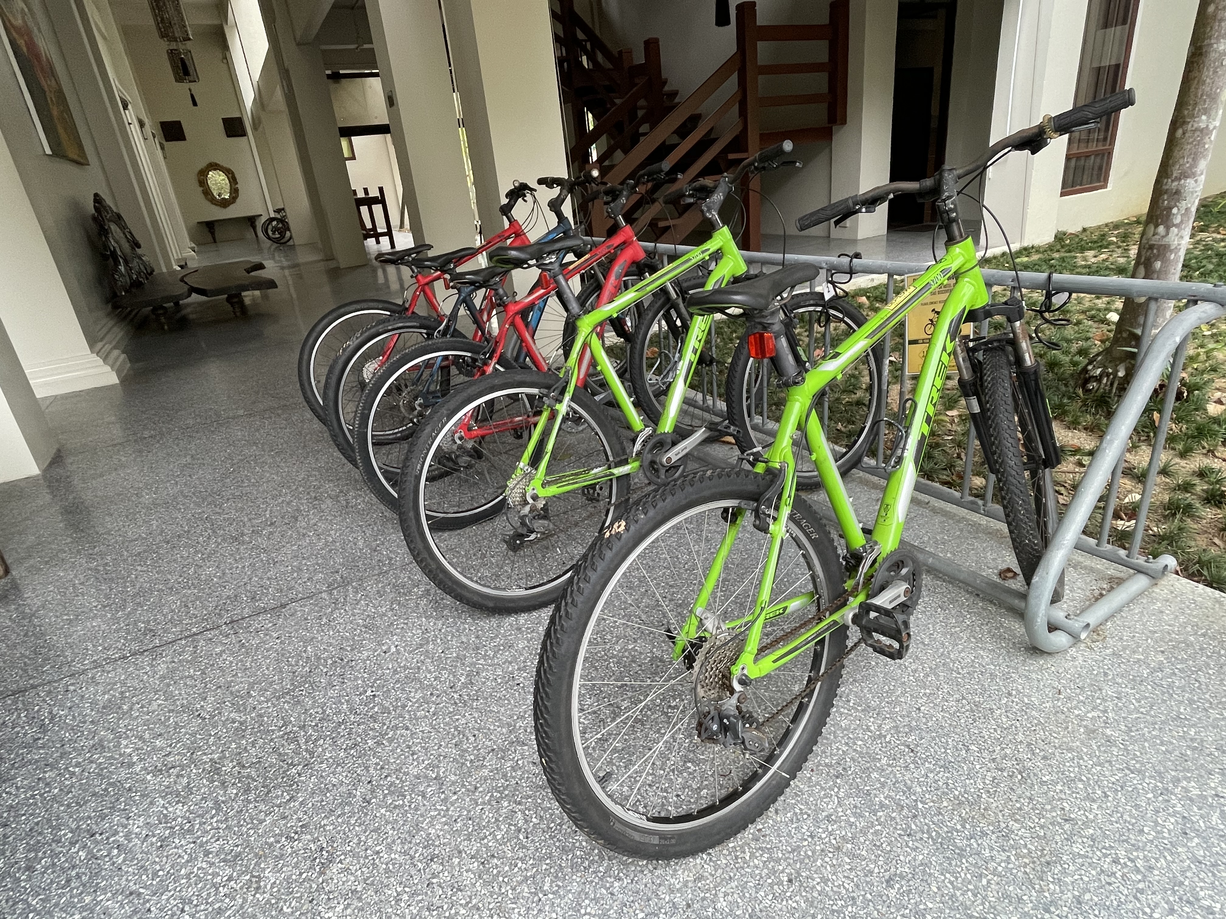 Bike Rental