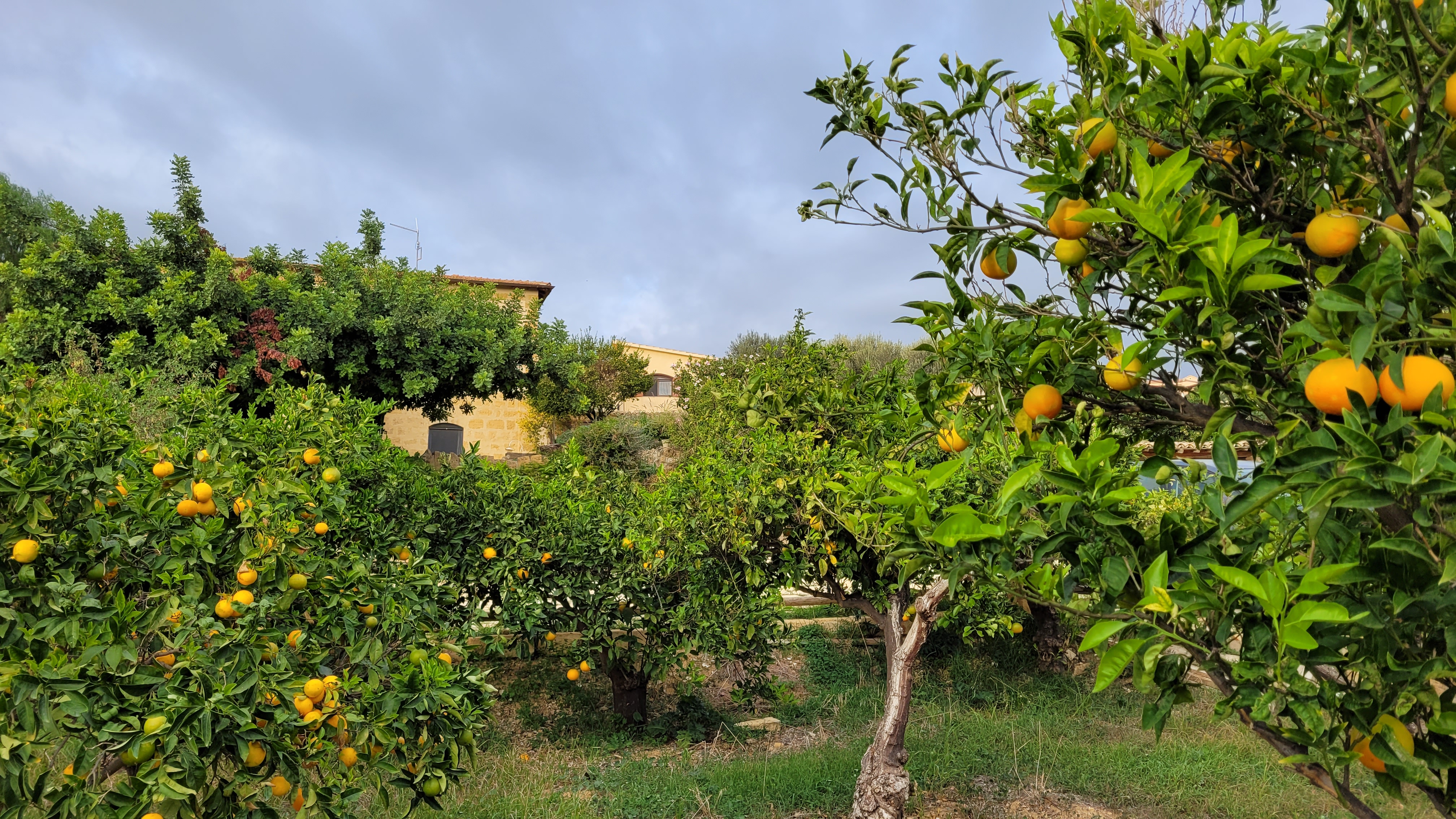 OK Italien Studietur OKT2020 HST (376)