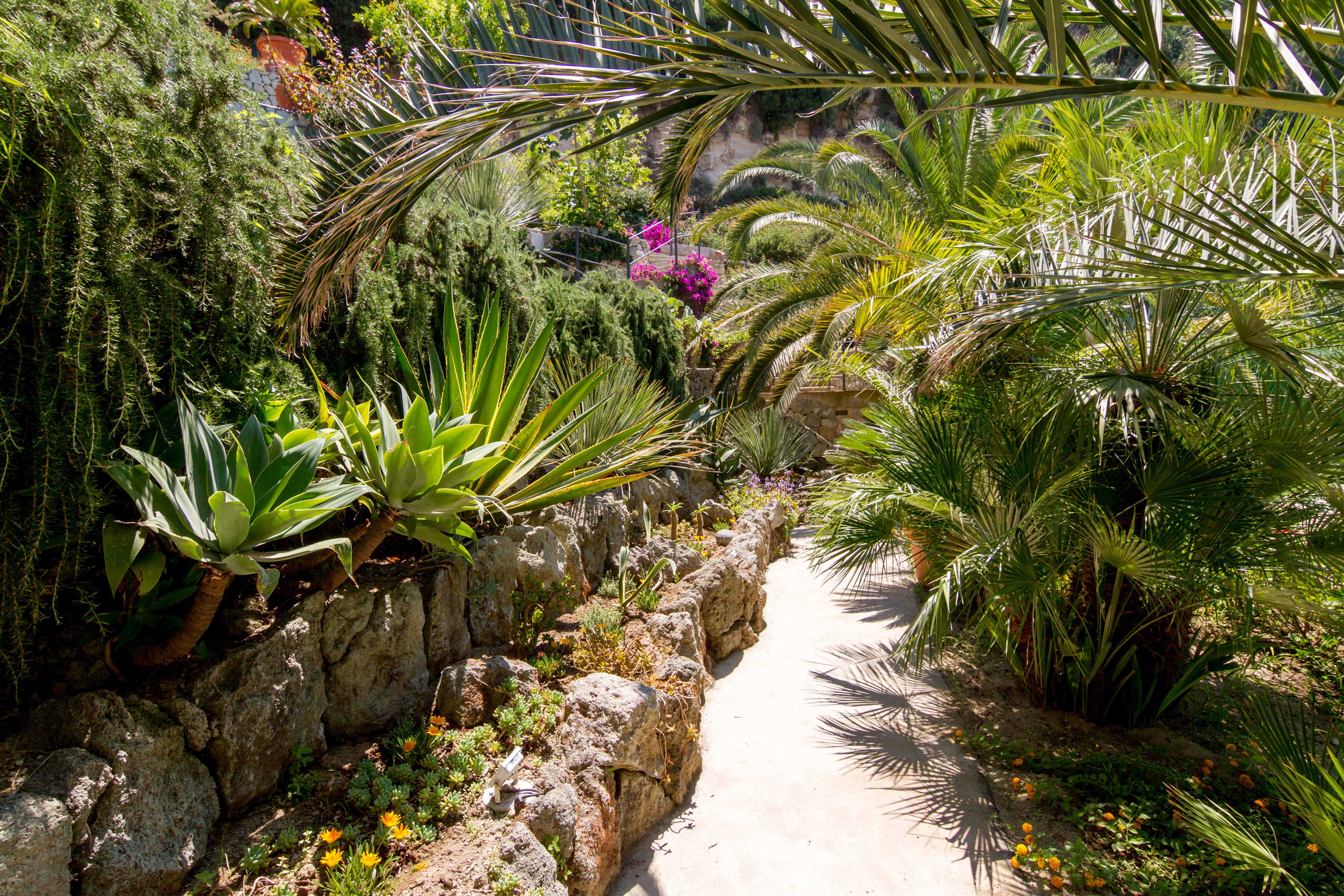 Små stigar leder från en trädgård och pool till nästa