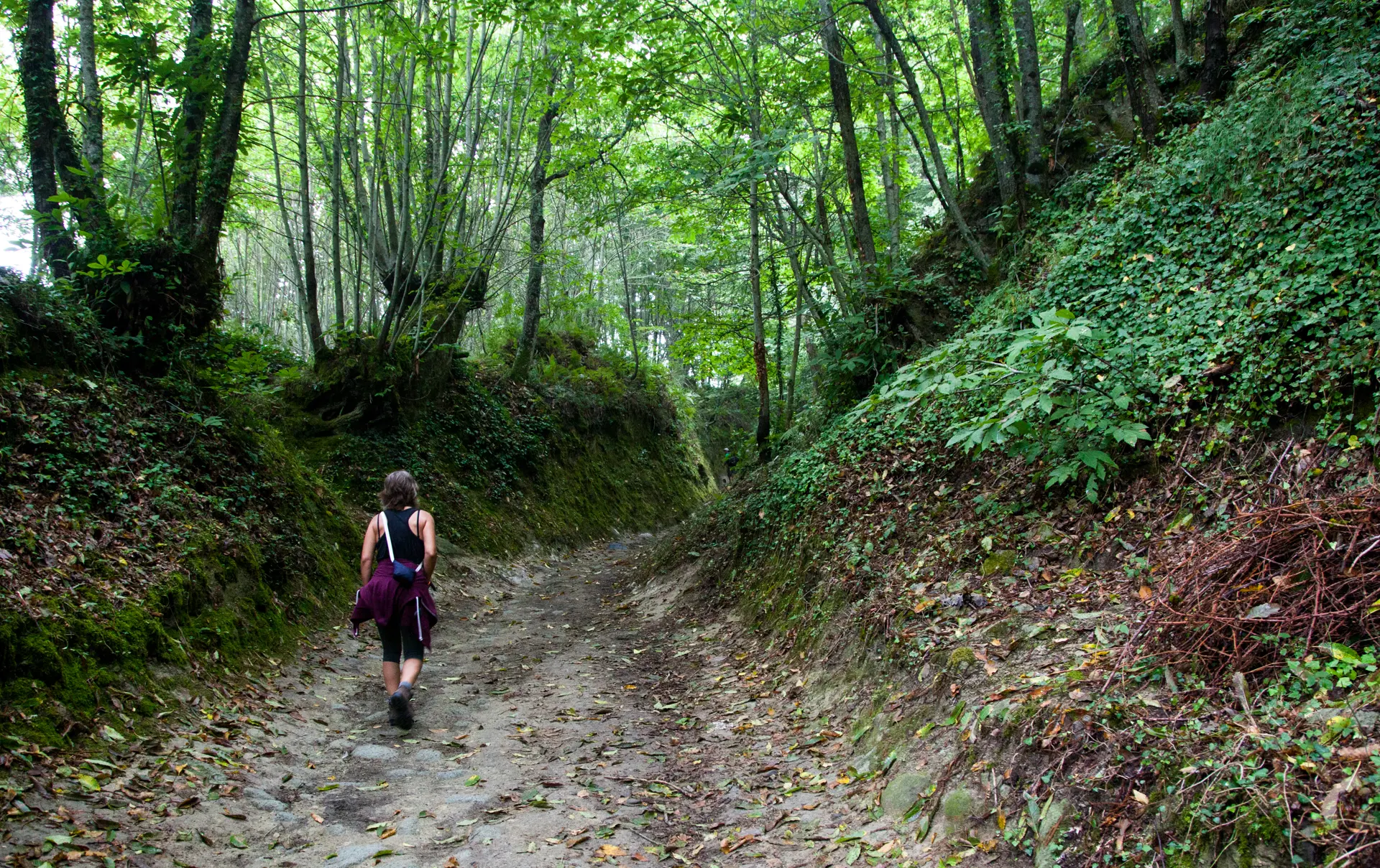 Stig genom skogen på väg till Monte Epomeo