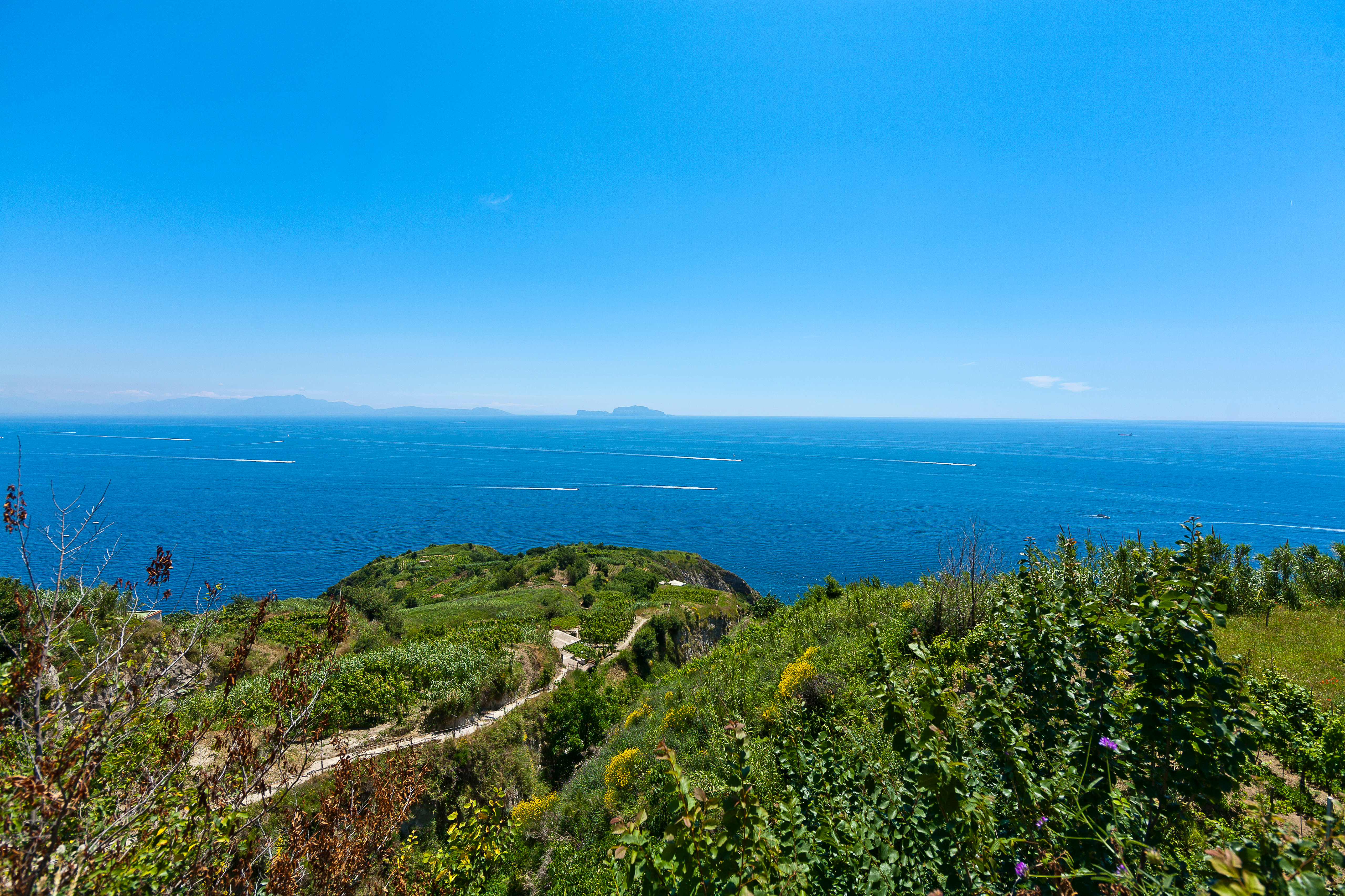 Vacker utsikt över fält och hav på vandringslederna vid Piano Liguori på Ischia - I bakgrunden kan du se Capri