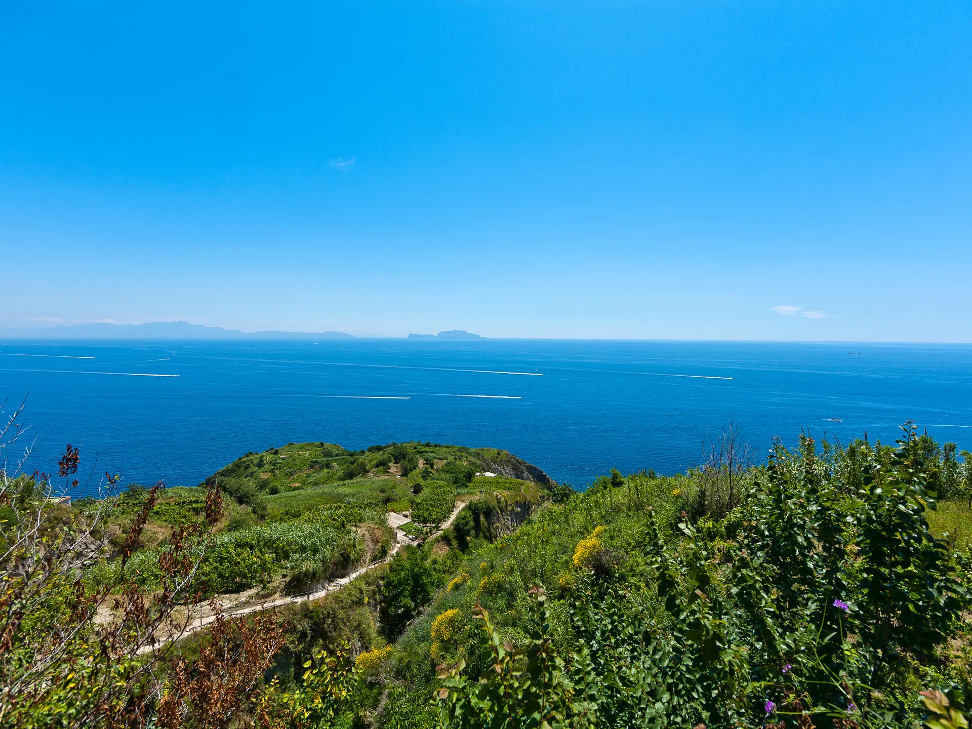 Vacker utsikt över fält och hav på vandringslederna vid Piano Liguori på Ischia - I bakgrunden kan du se Capri