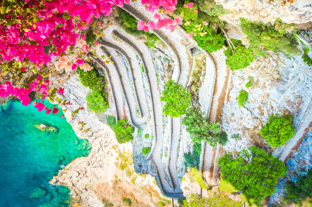 Shutterstock 1398745841