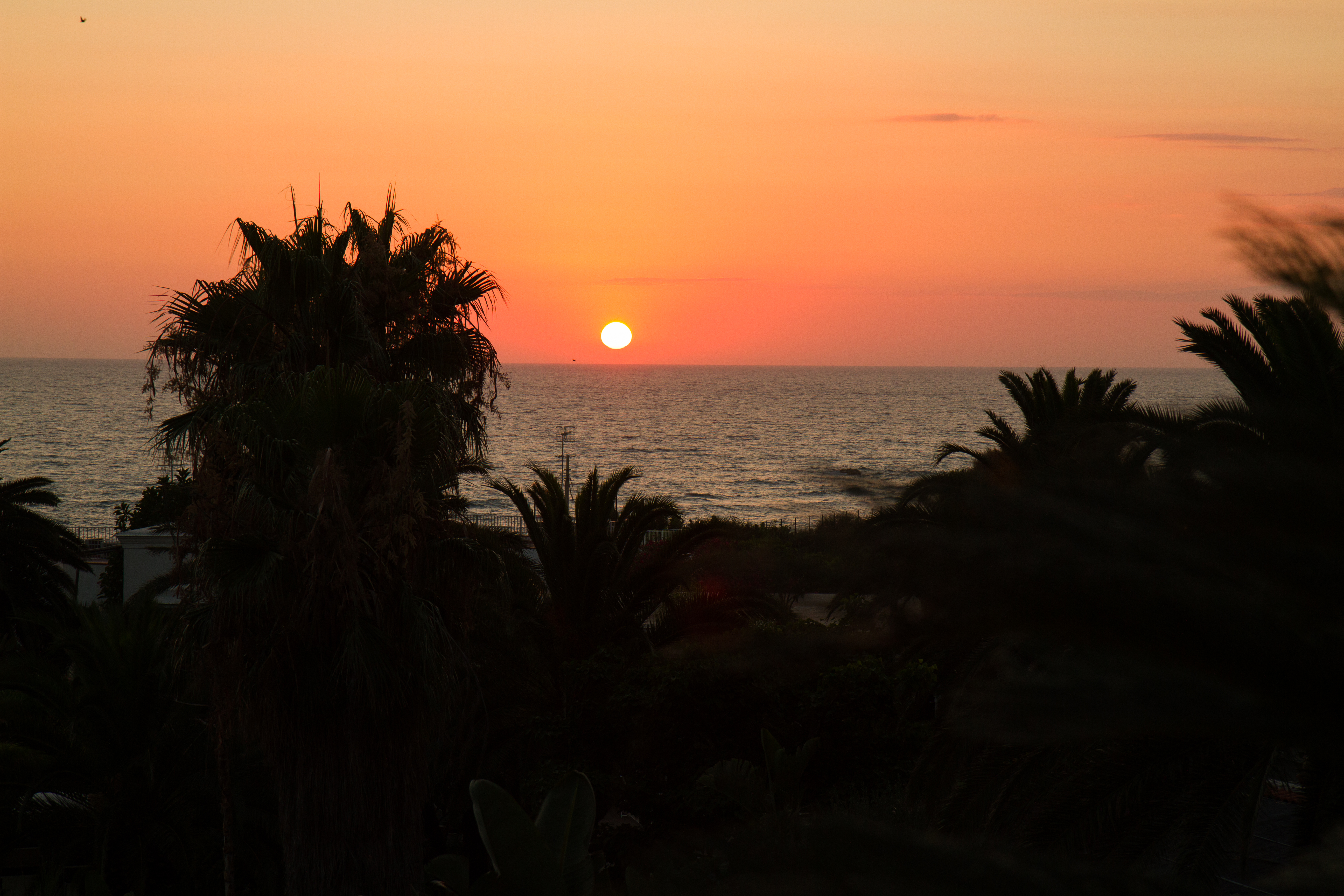 Solnedgången sett från Semiramis