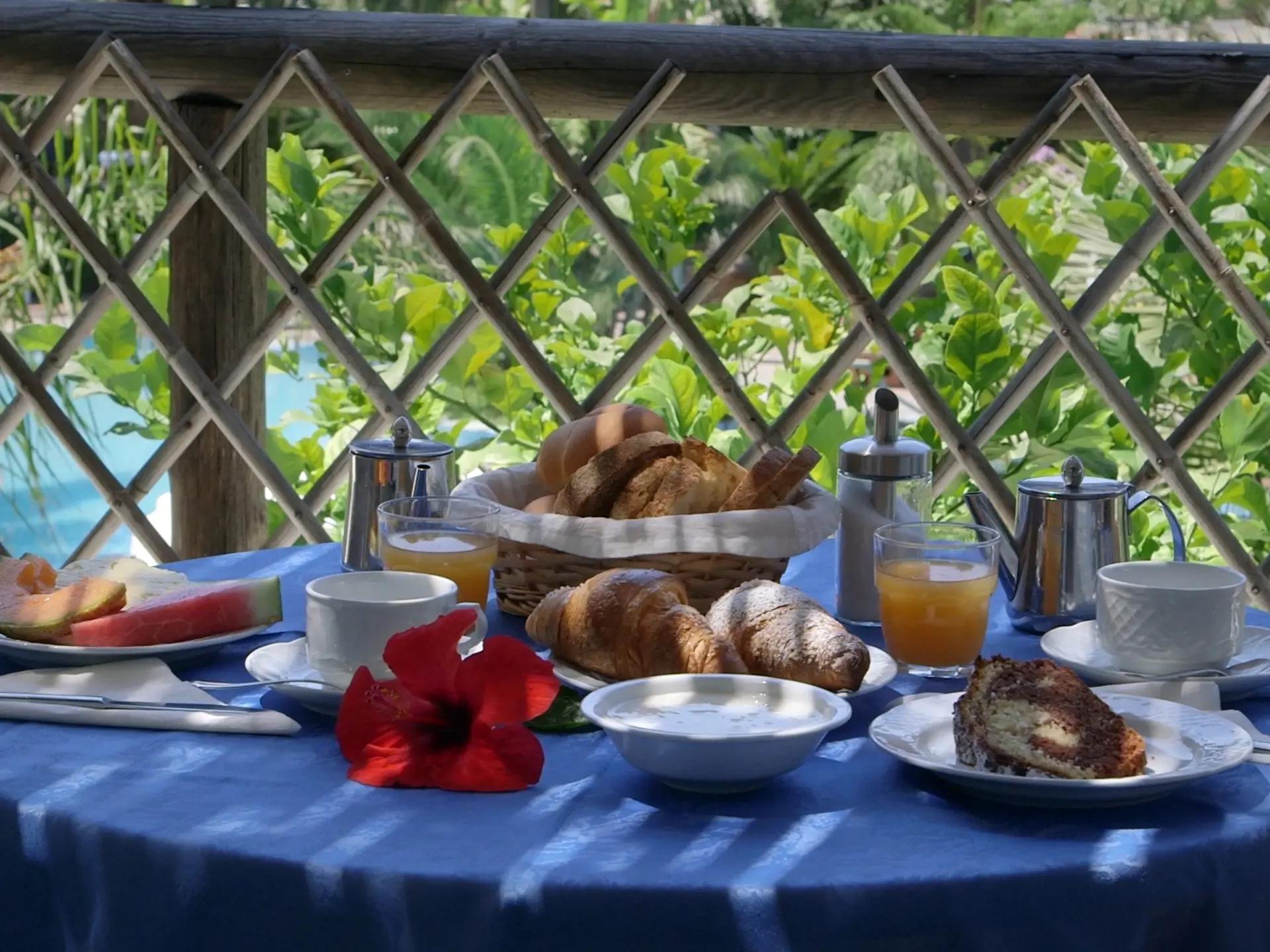 Frukost på den skuggiga terrassen på Semiramis