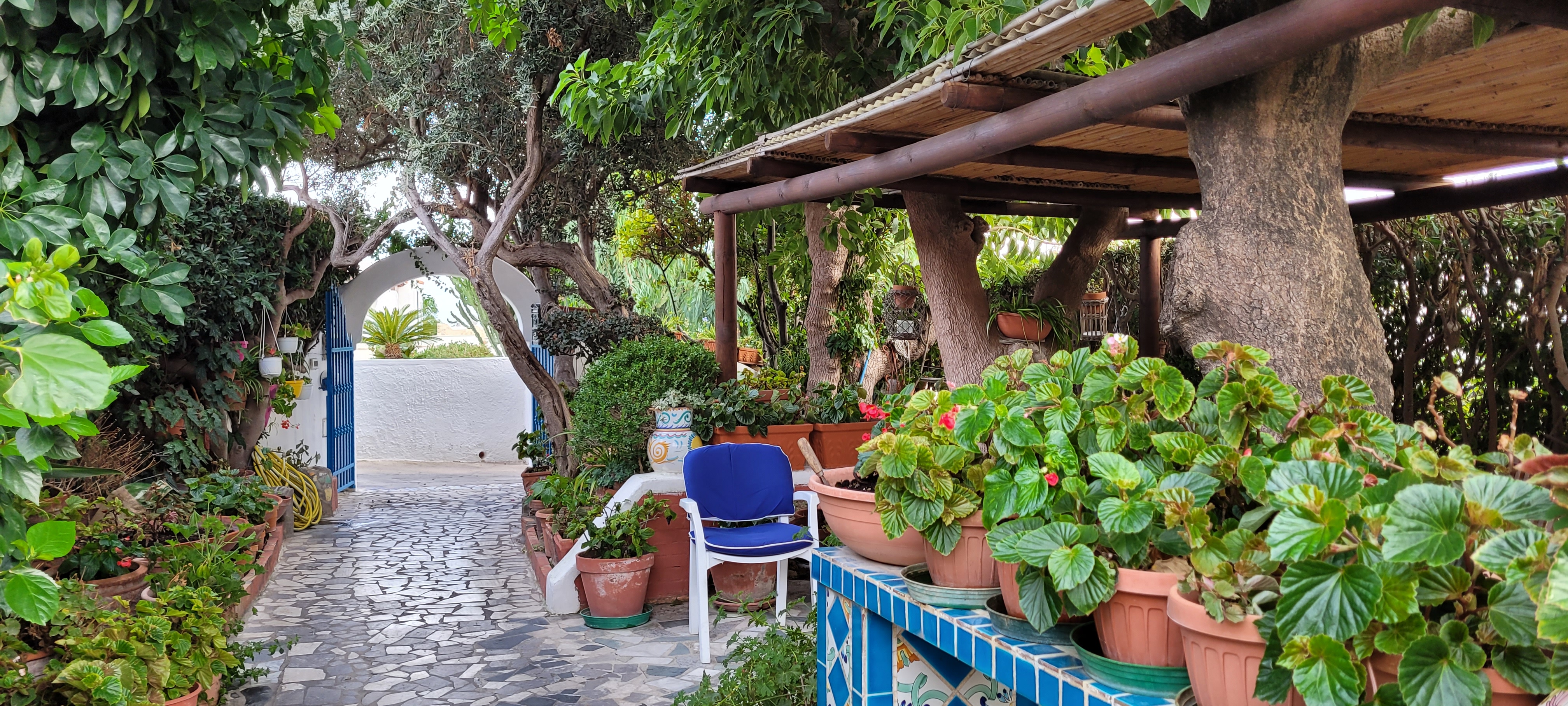 En liten del av den mysiga trädgården på Hotel Villa Maria på Ischia