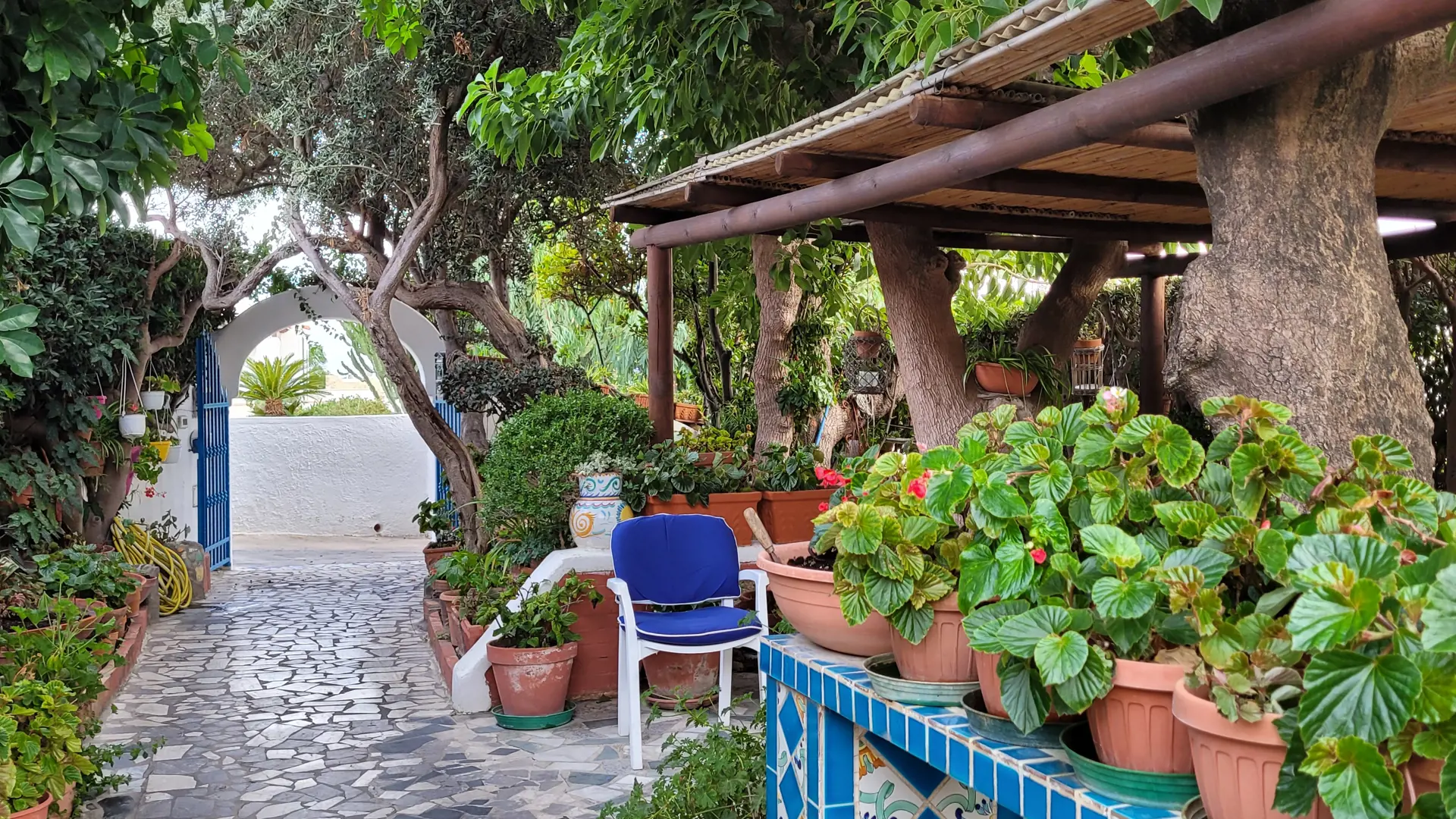 En liten del av den mysiga trädgården på Hotel Villa Maria på Ischia