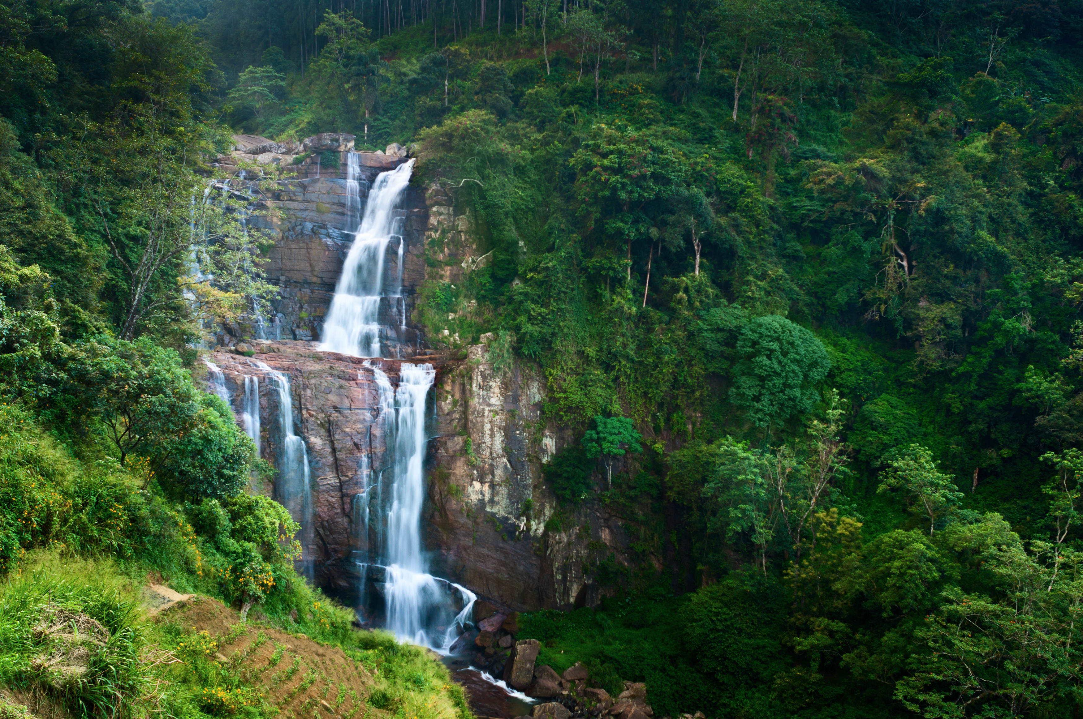 Large waterfalls in green tropical forest at Nuwara Eliya_127332050.jpg