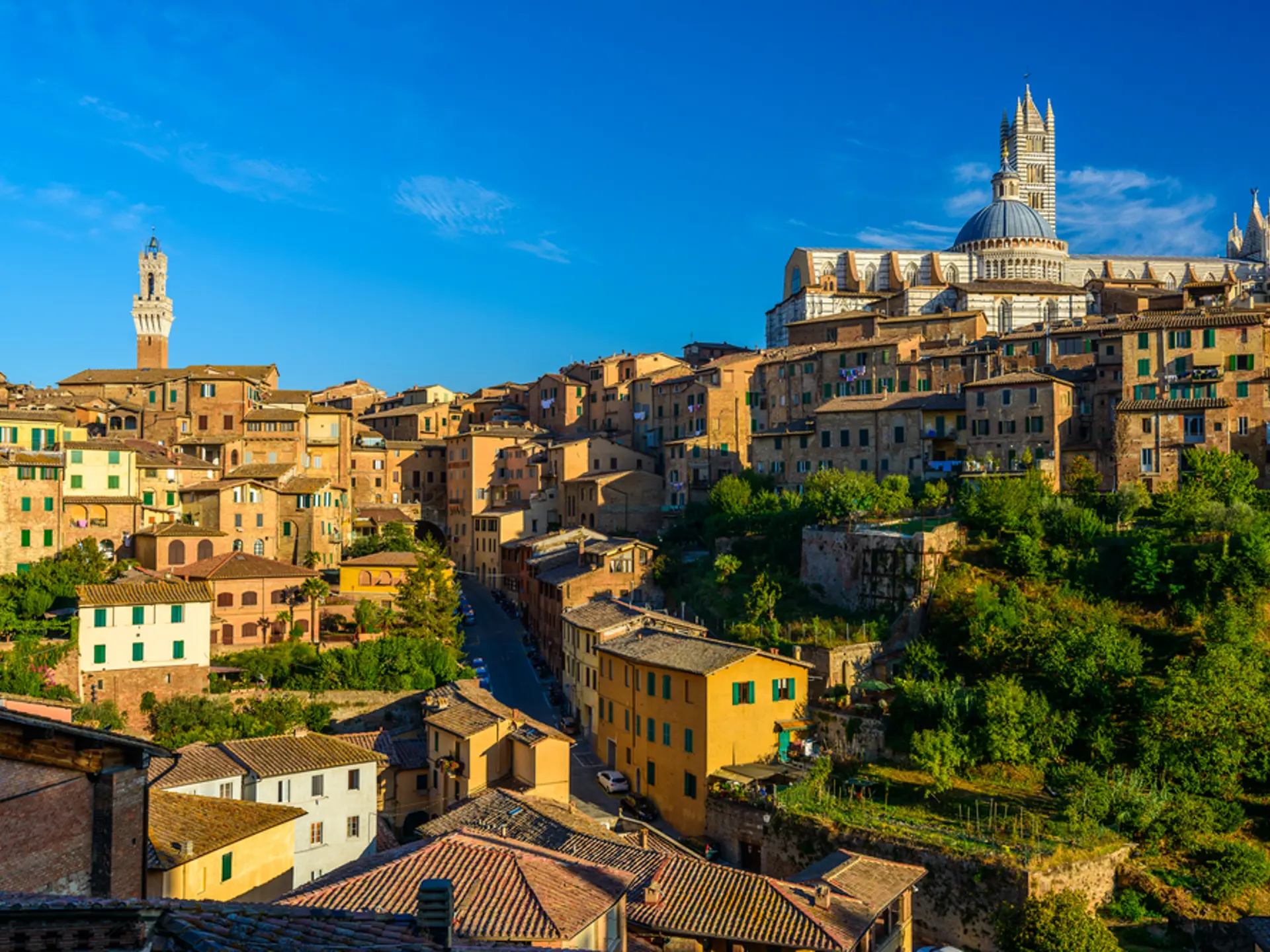Shutterstock 125571773 Siena