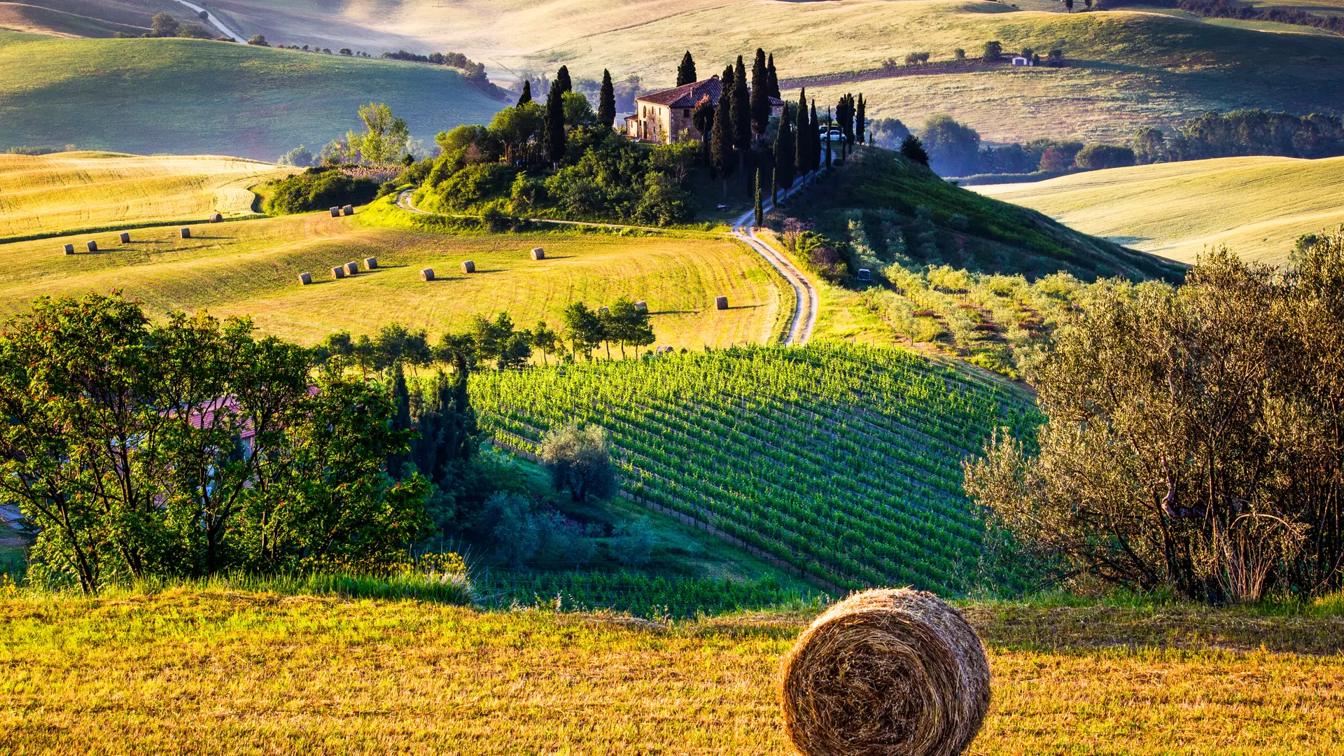 Toscana är vackert alla tider på året och kommer du på hösten så finns det ett härligt lugn över området.