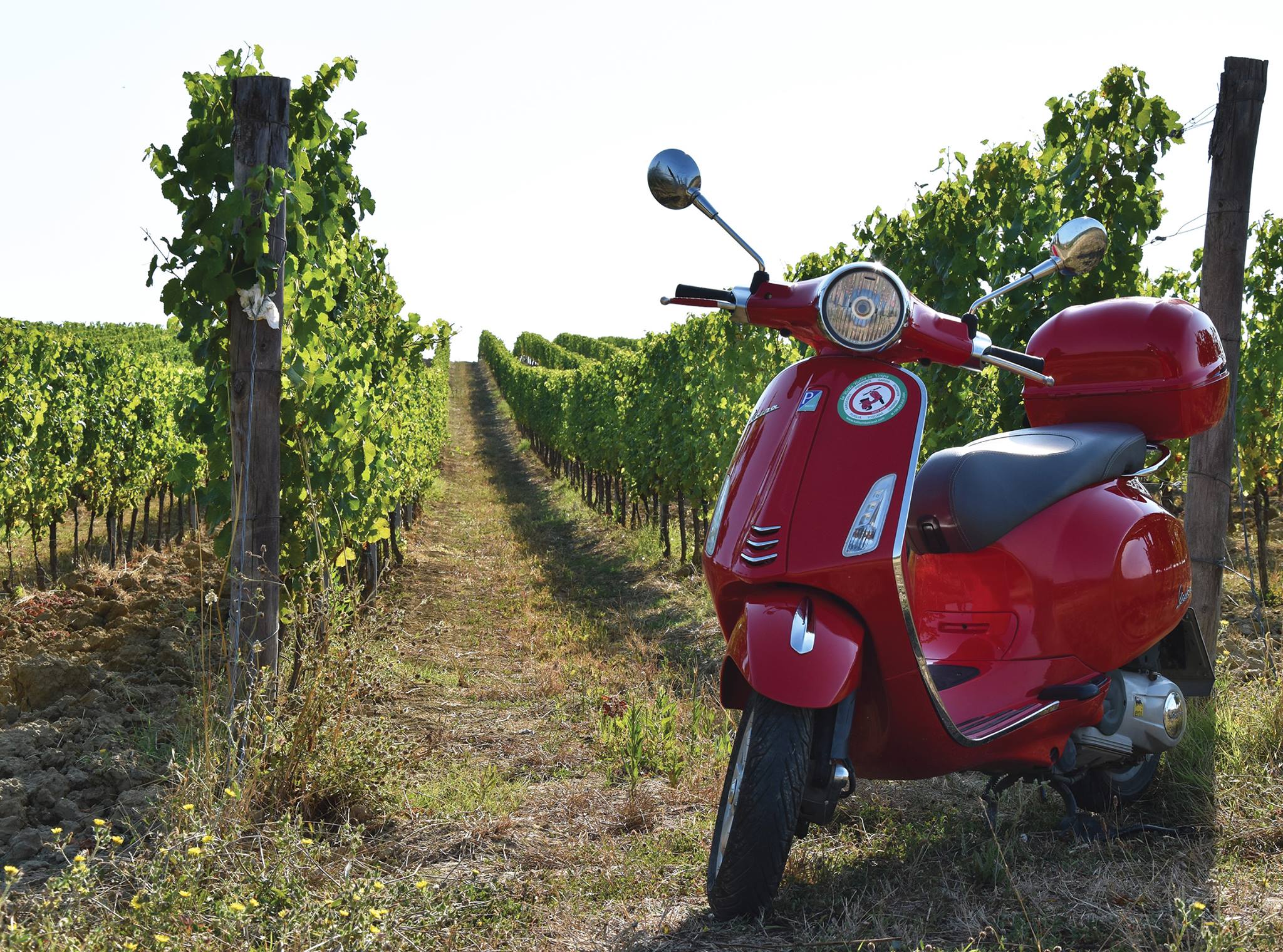 Vingårdar och vackra landskap väntar på resenären i Toscana.