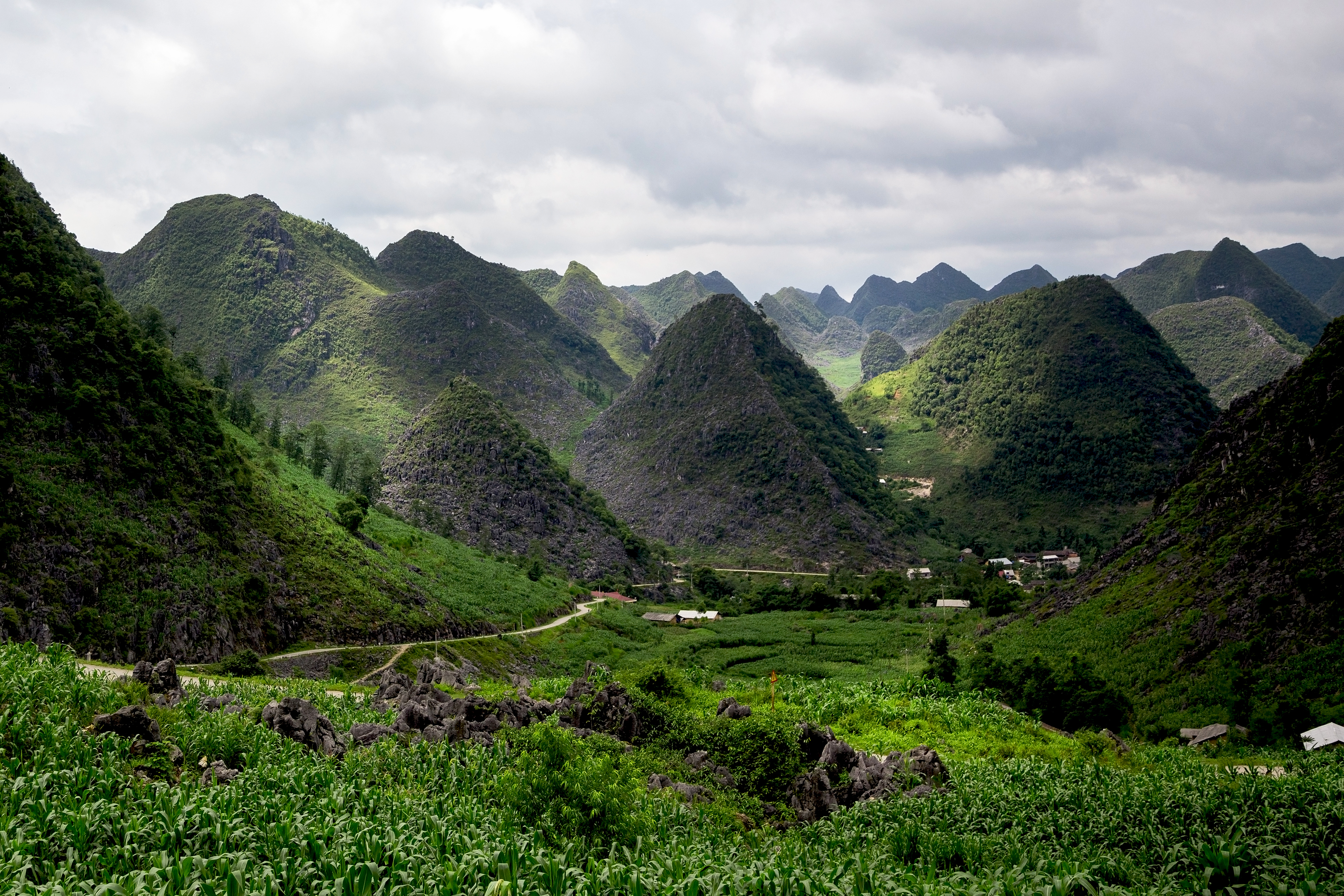Dong Van karst plateau global geo park in Ha Giang, Vietnam.jpg