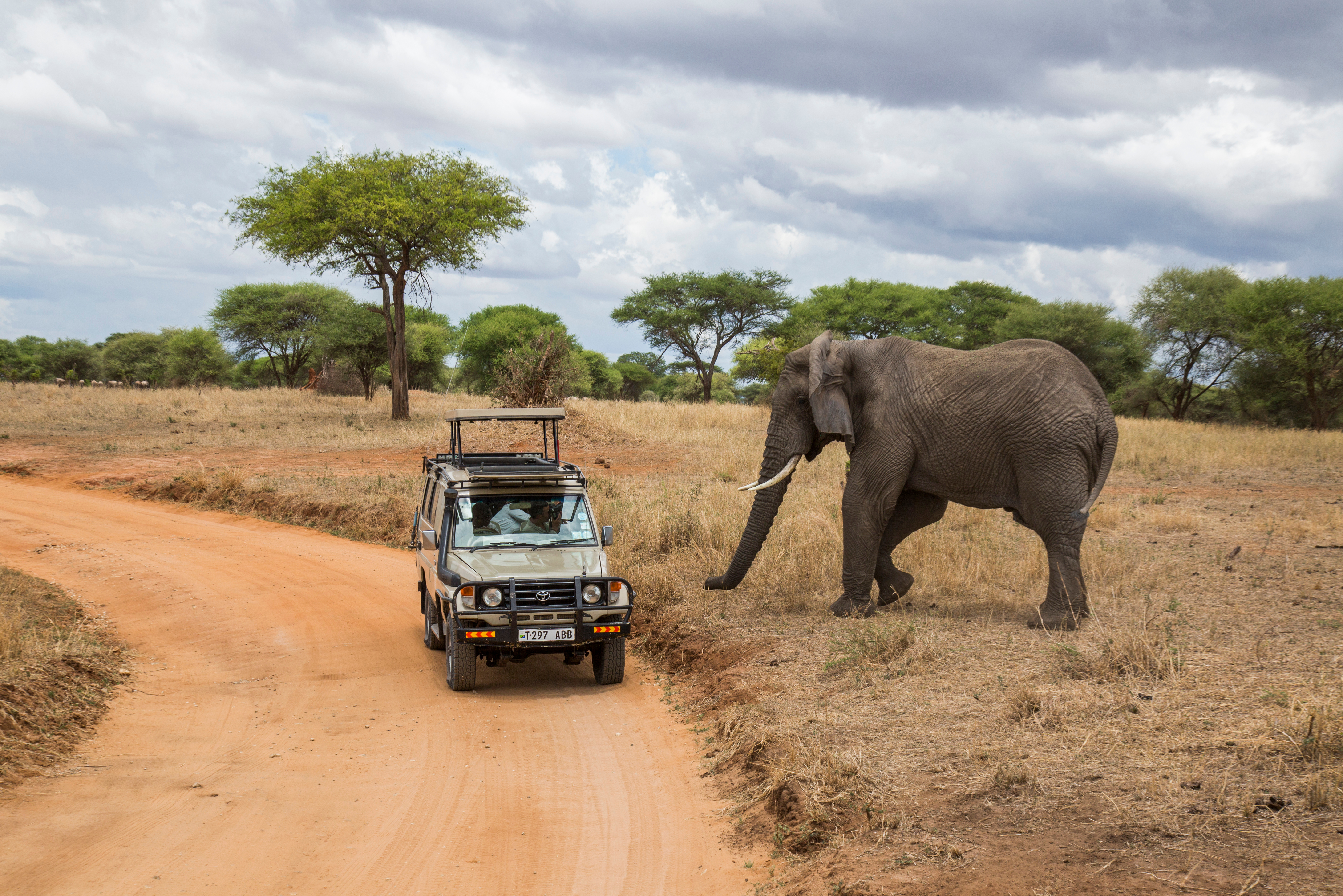 Ngorongoro Safari (3)