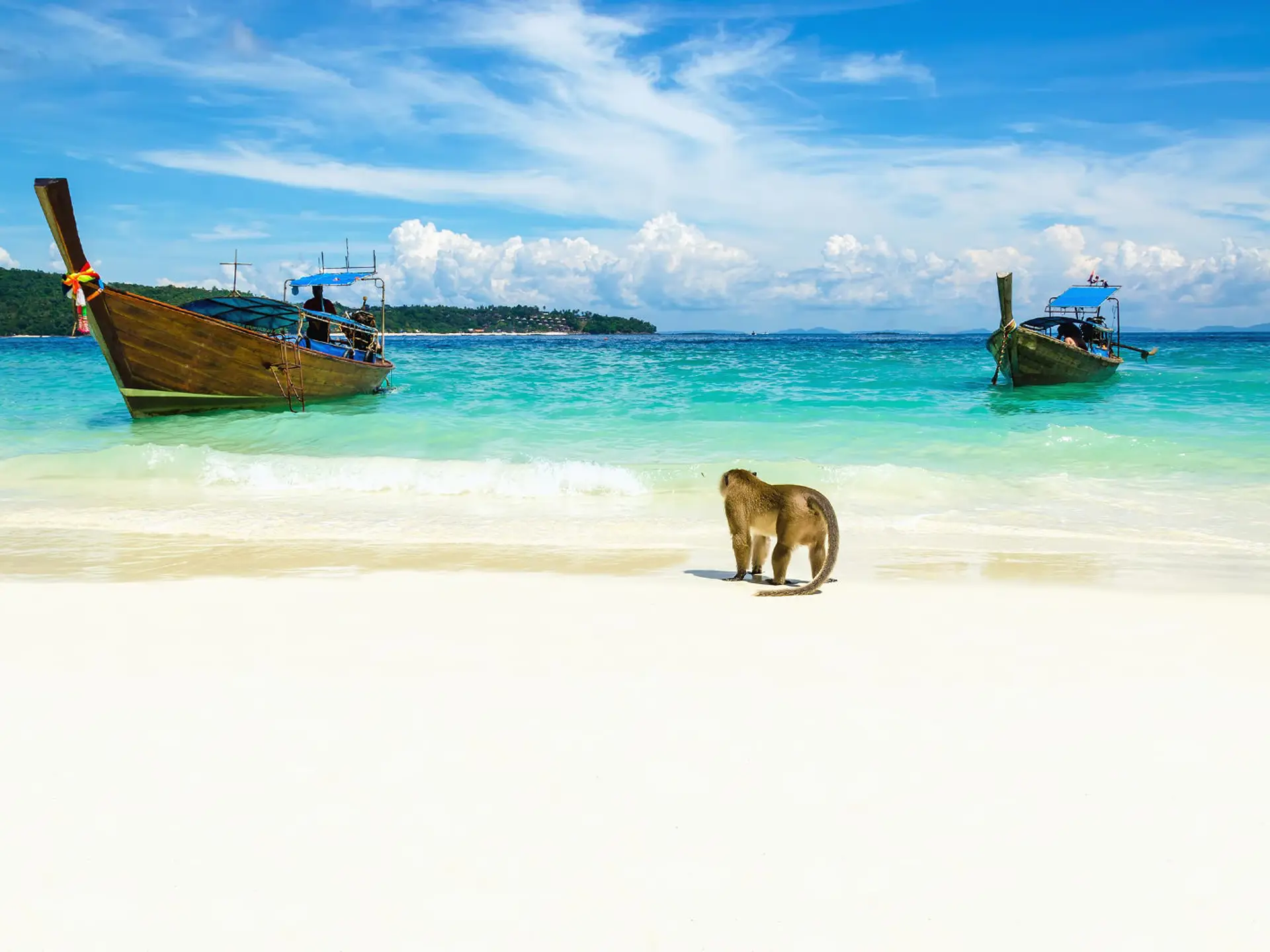 25A7adb2 E4f9 4548 Ad83 79E0800d61f2