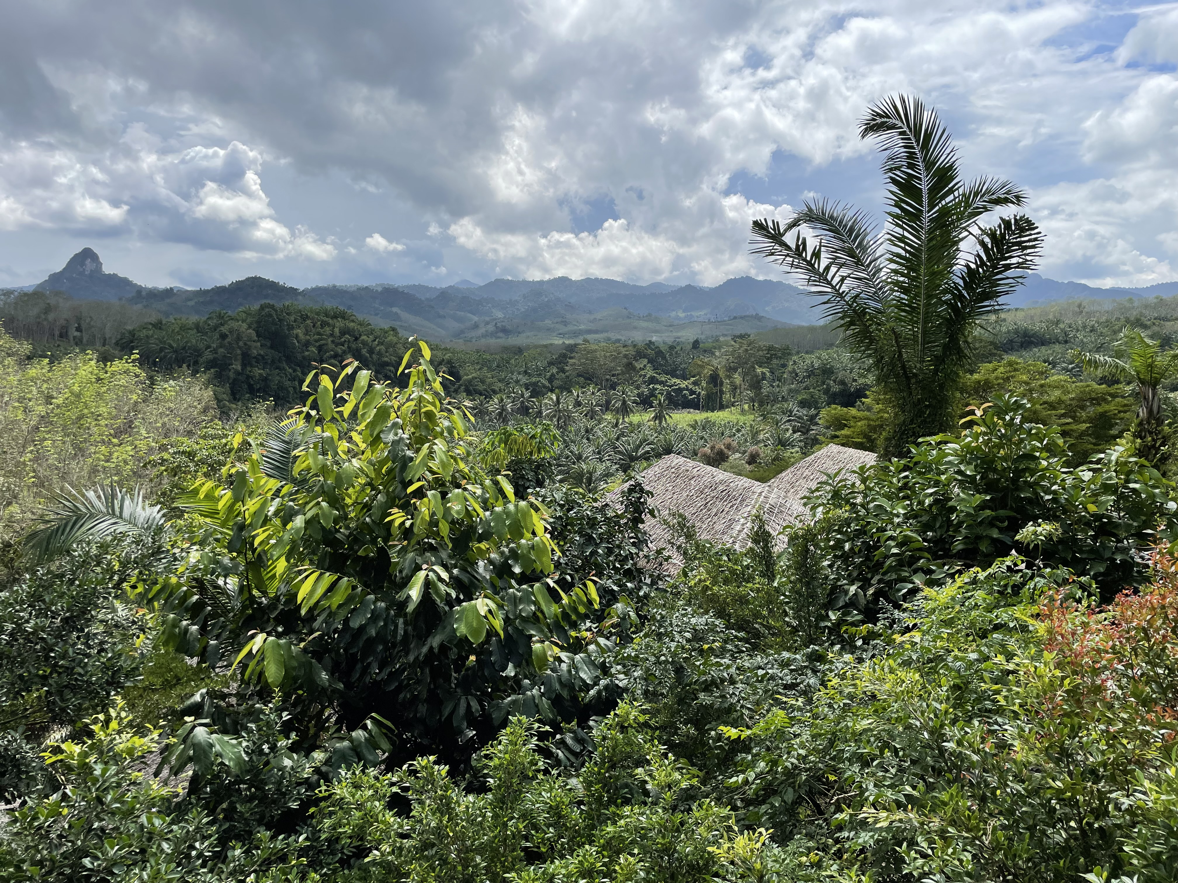 Khao Sok Boutique Camp (11)