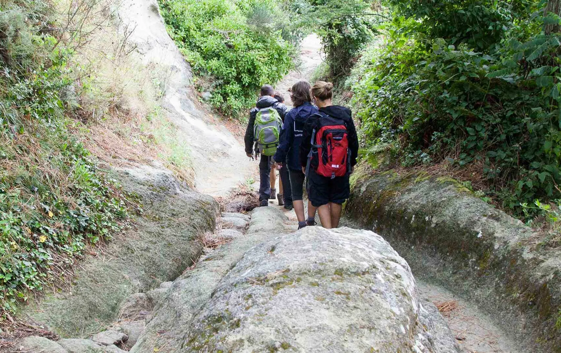 Monte Epomeo Trekking 6734674