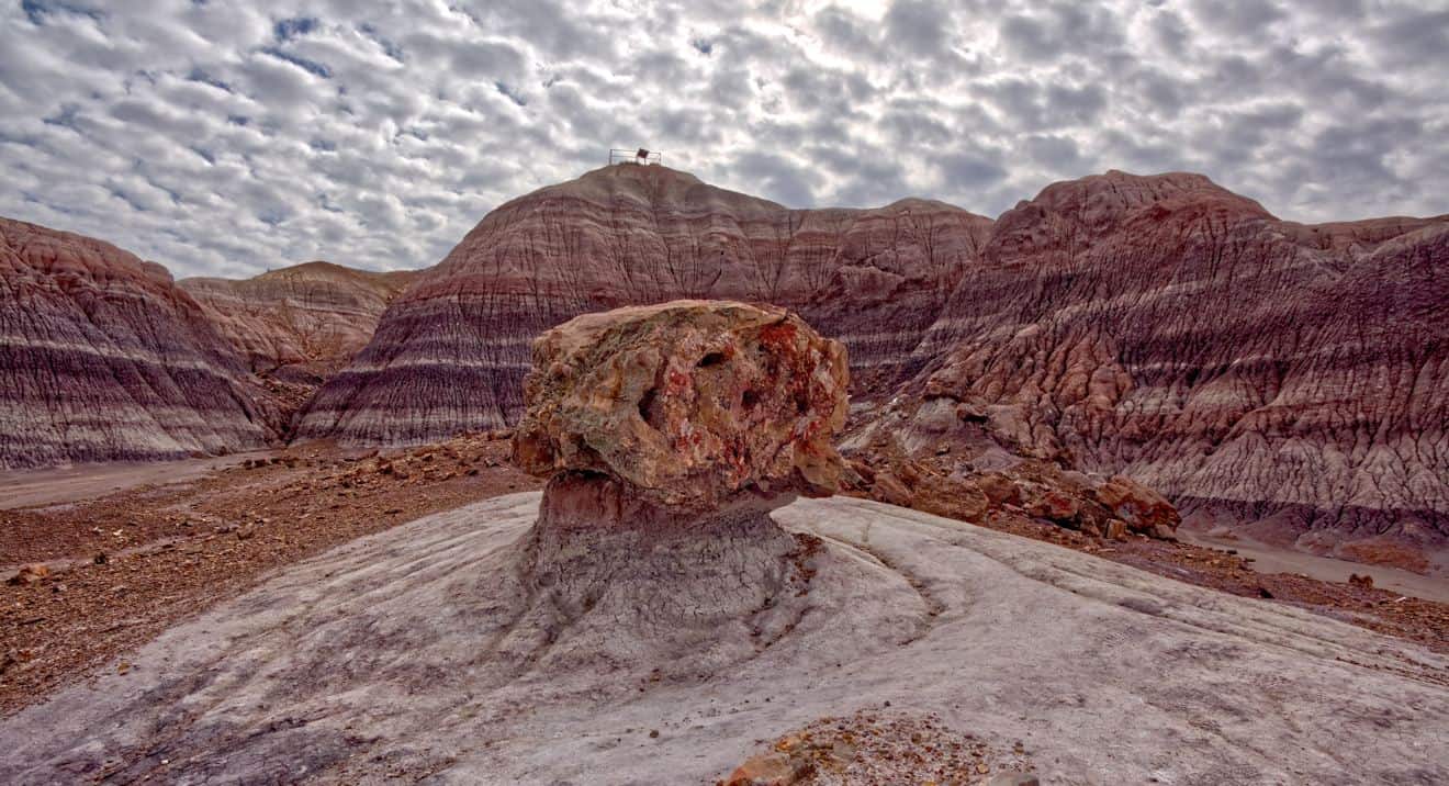 Petrified National Forest Painted Desert