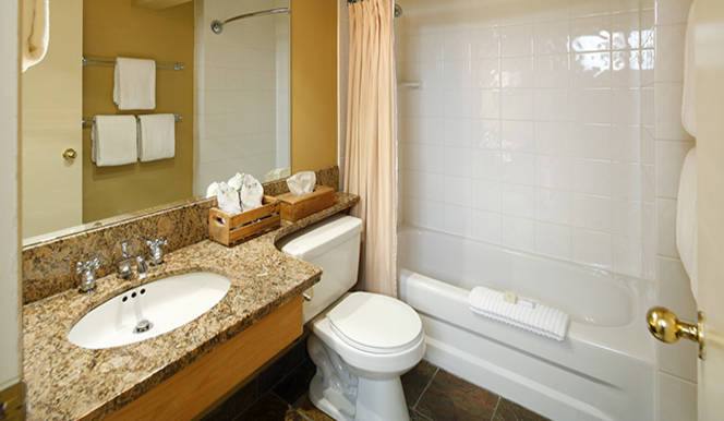 Lodge Bathroom Enhanced