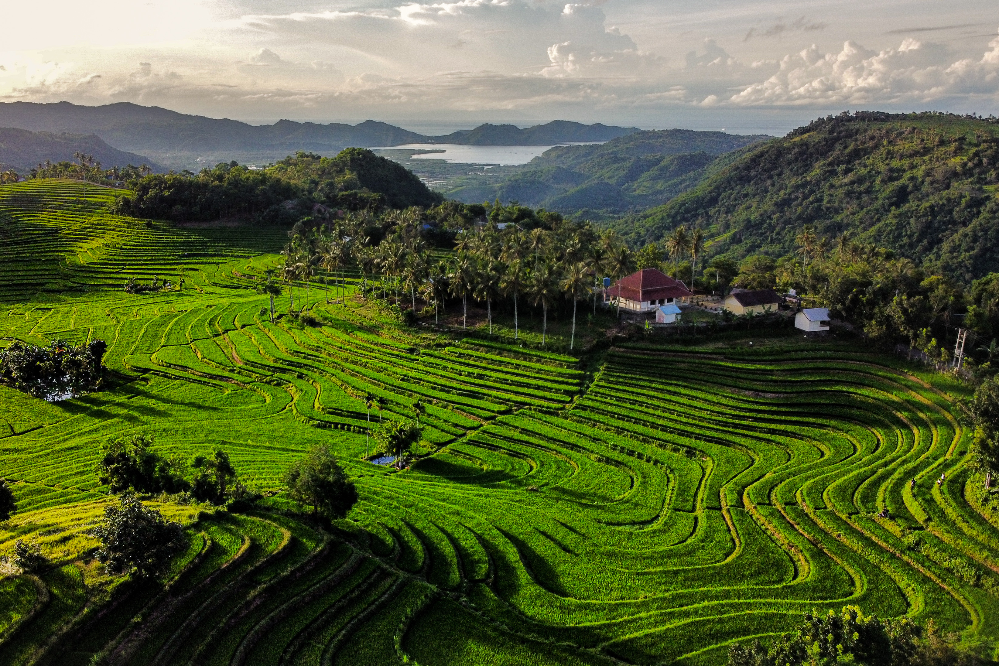 Shutterstock 1919956412