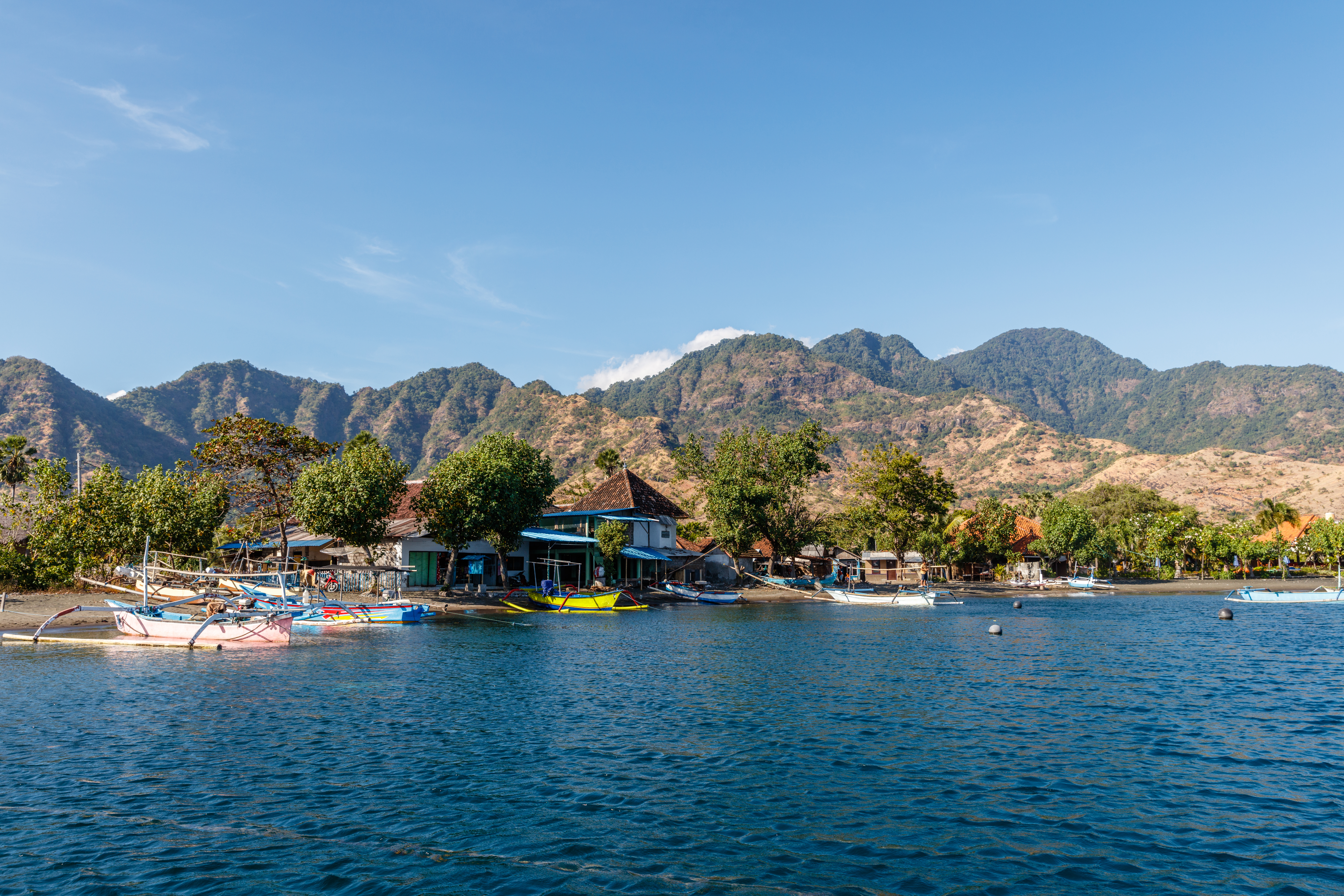 Shutterstock 1110646841