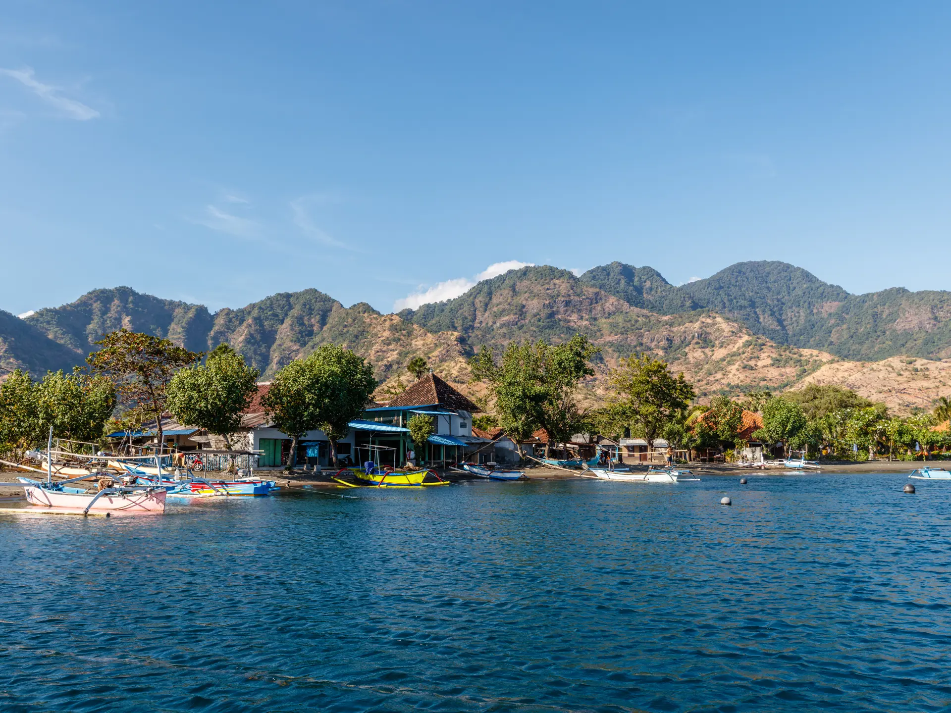 Shutterstock 1110646841