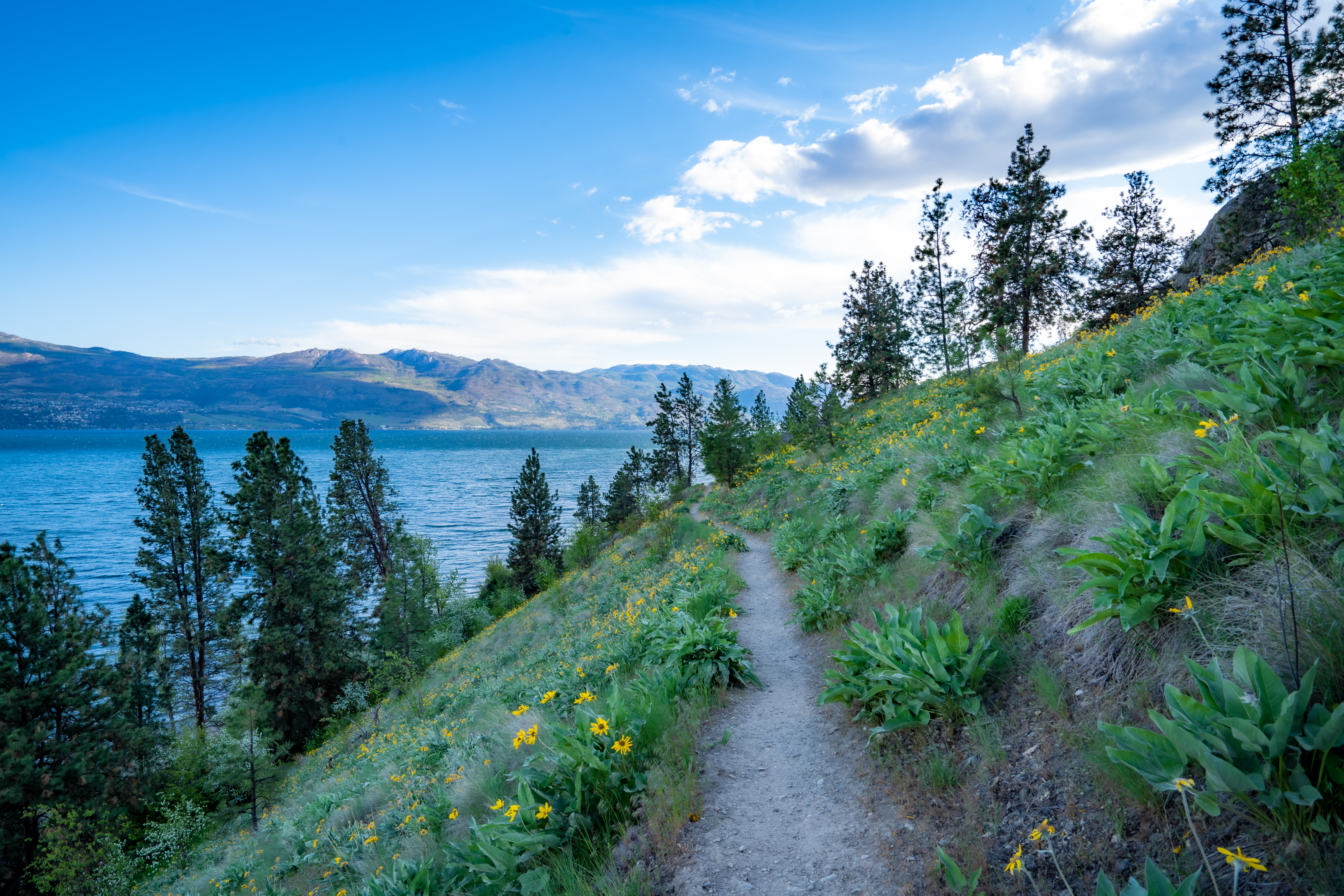 Kelowna Vandre Tur Shutterstock 1745181671