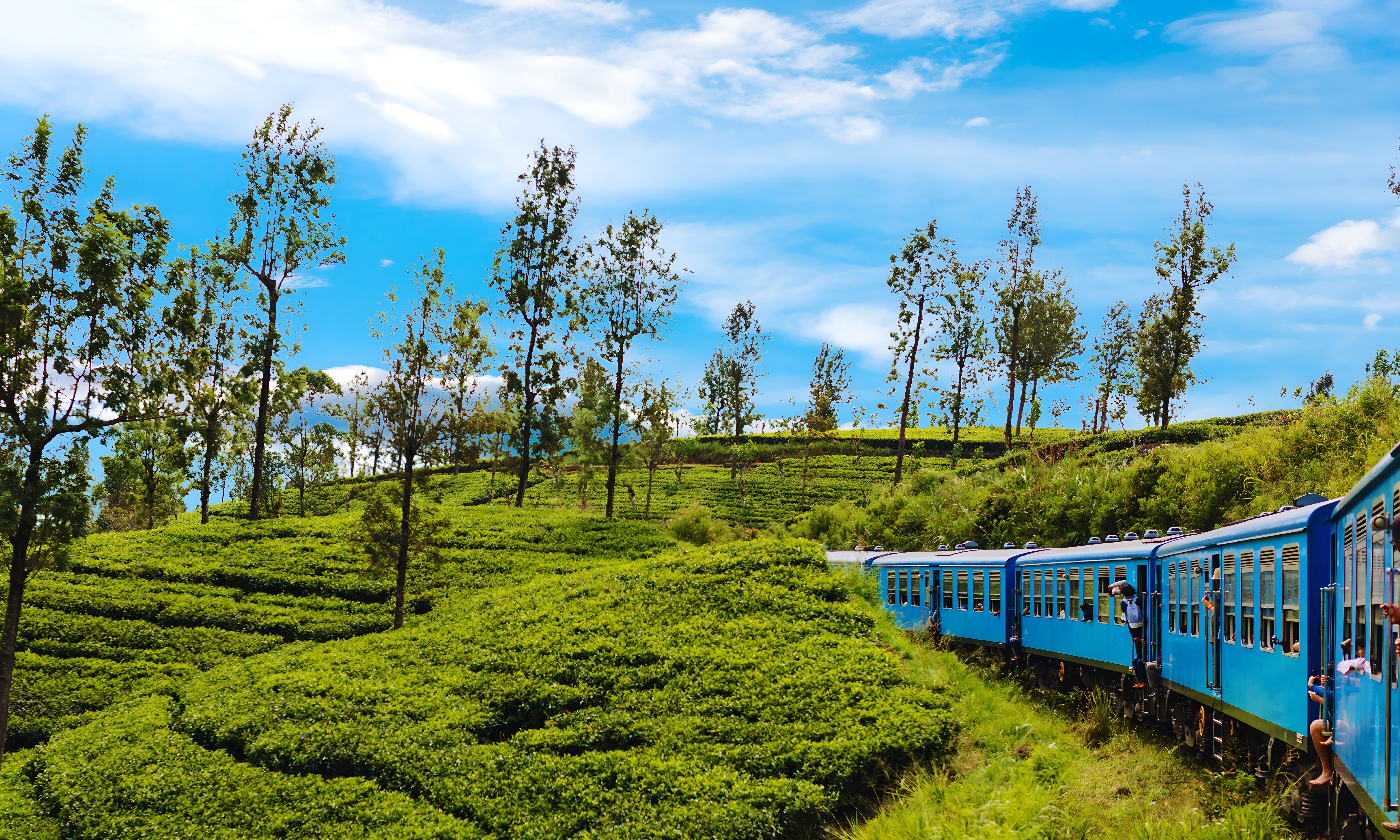 Shutterstock 2658148101 Scenic Sri Lanka Tog Rejse Gennem Te Plantager