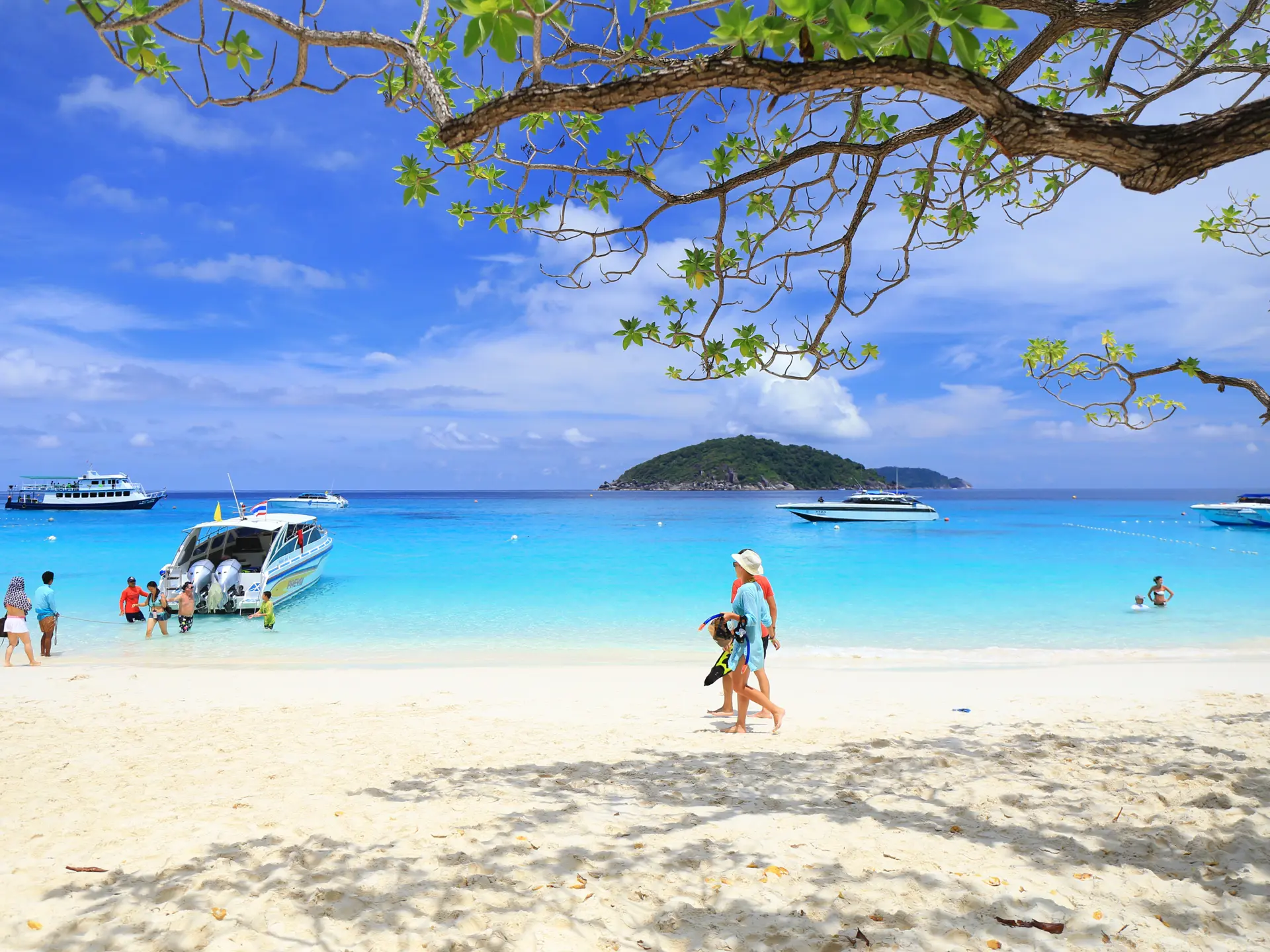 shutterstock_292964228 Phang Nga,  clear water beautiful at Similan island, Phang-nga Thailan.jpg