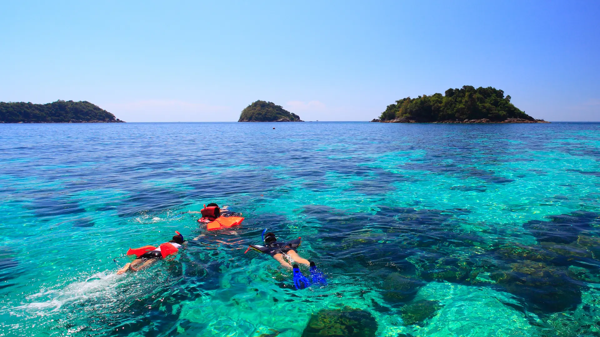 Snorkling nær Krabi_55388104.jpg