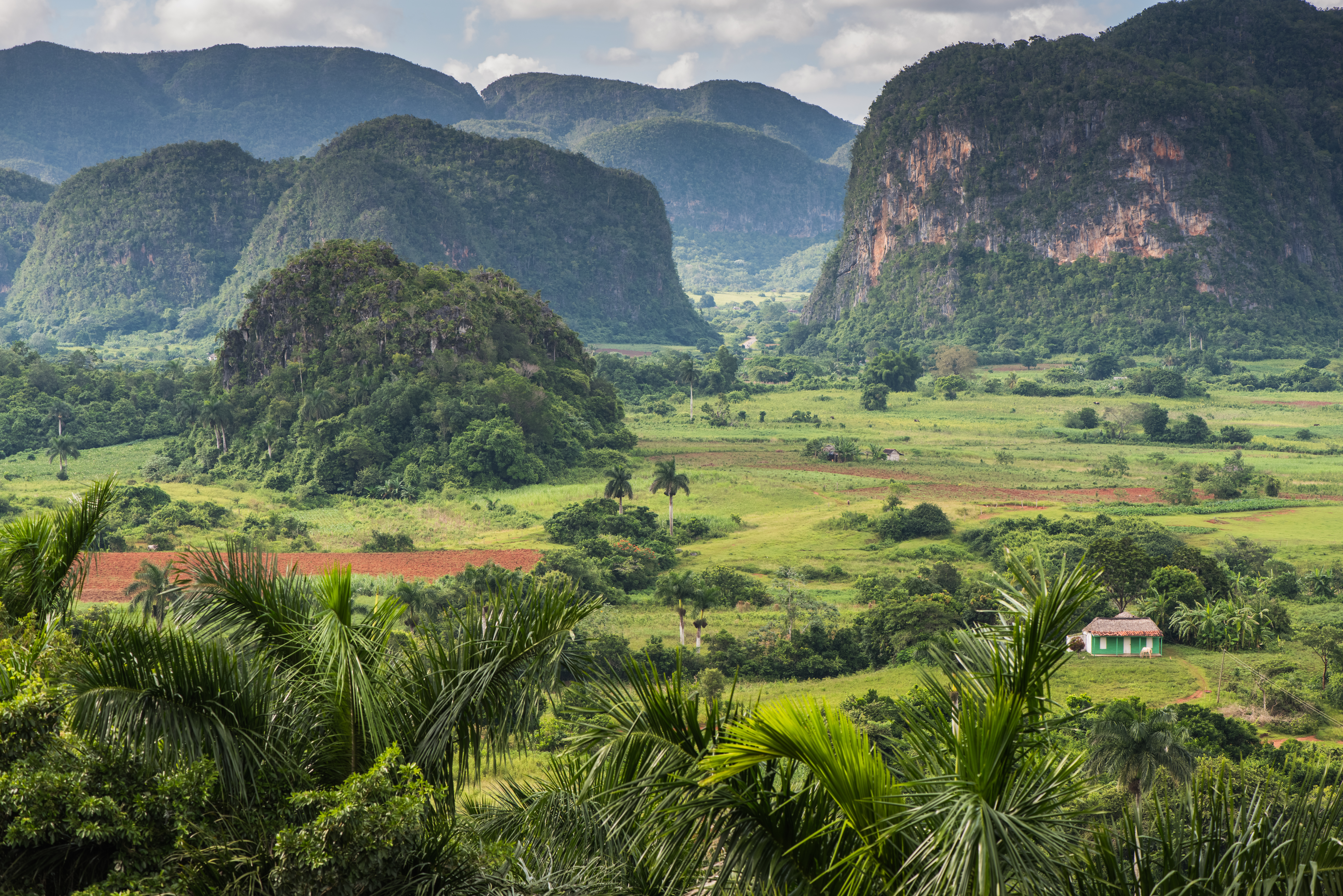 shutterstock_323530409 Panoramic view over landscape with mogotes in Vinales Valley ,Cuba.jpg