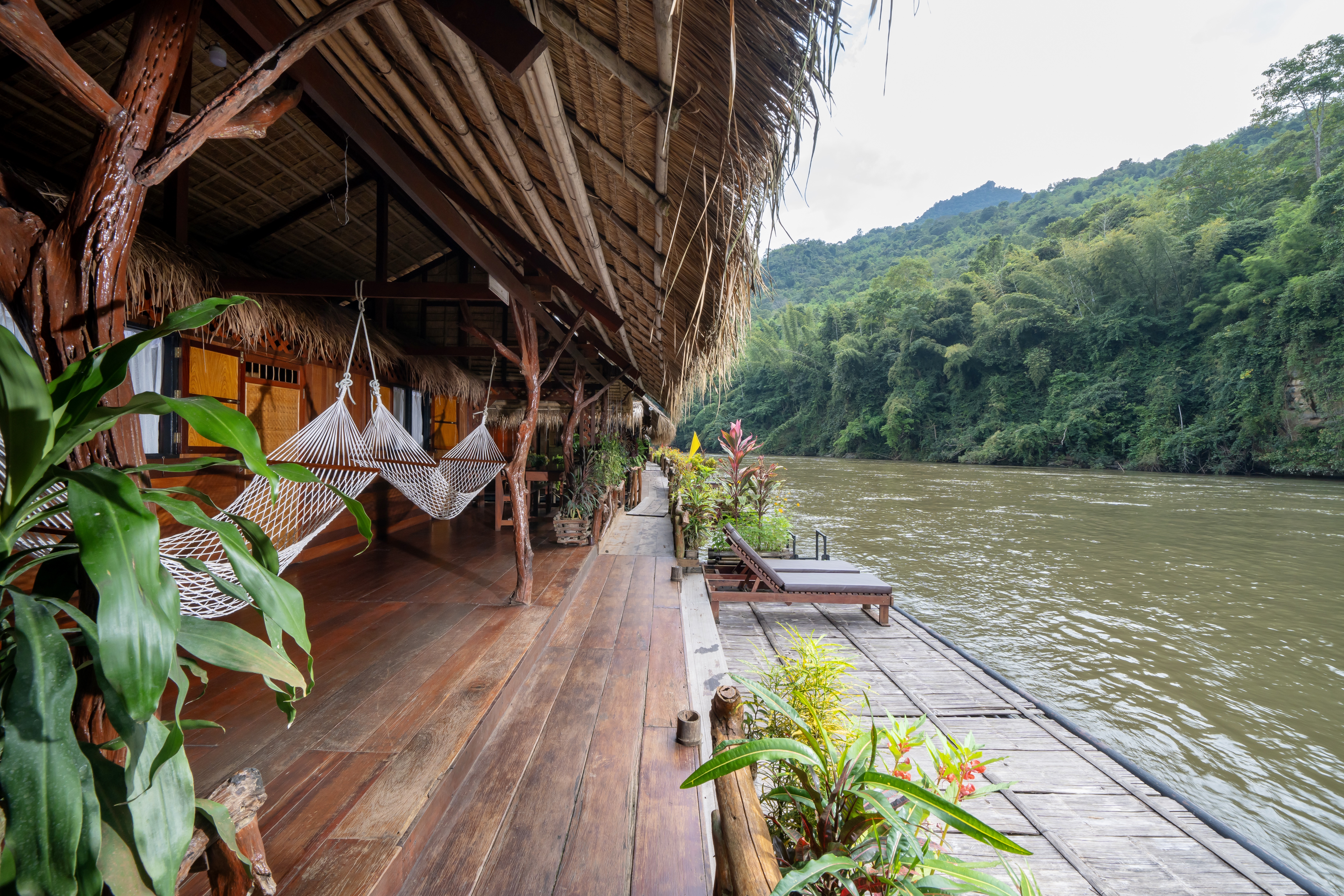 Jungle Vibe12