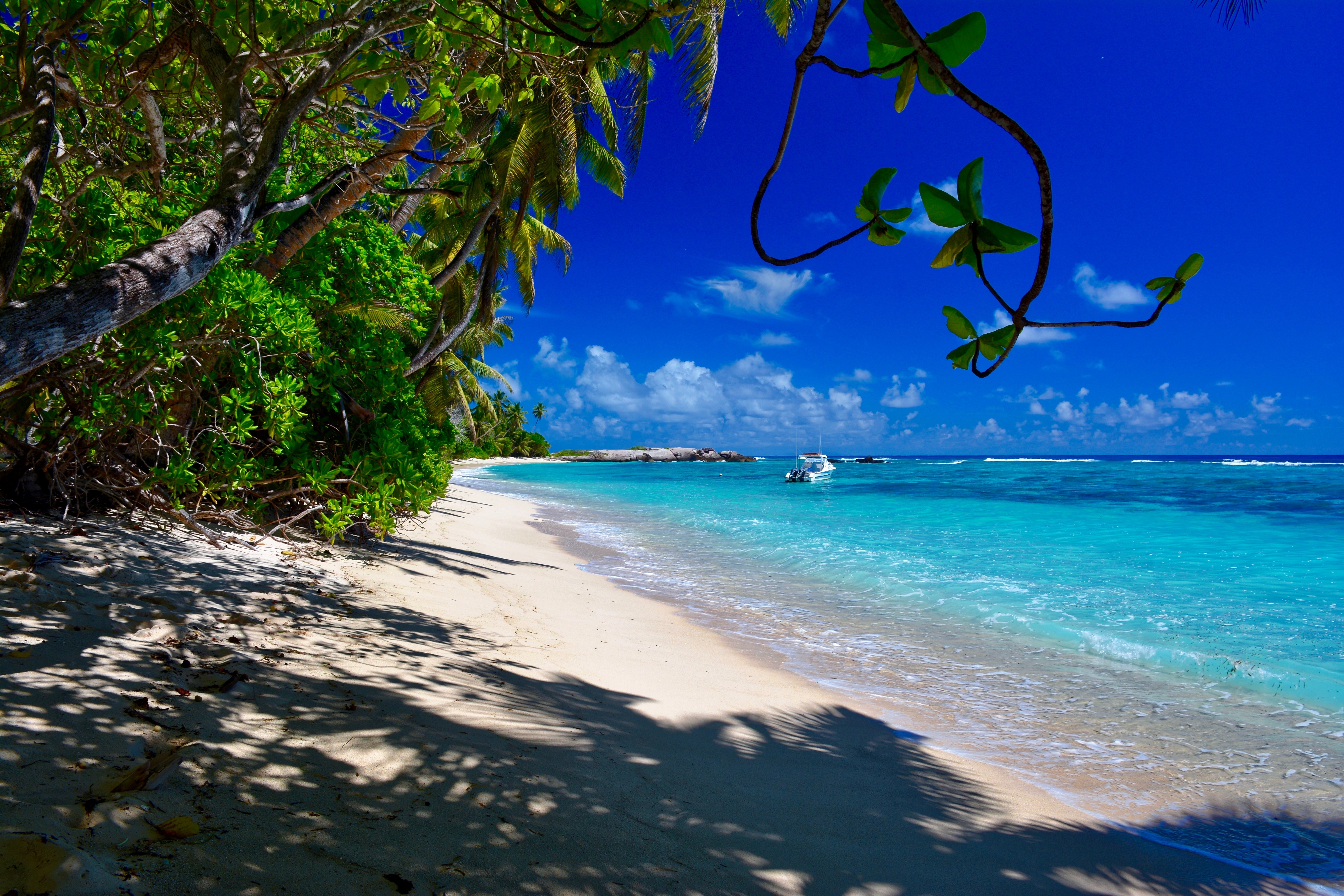 Shutterstock 518932951 Beach Anse Forbans, Mahe, Seychelles