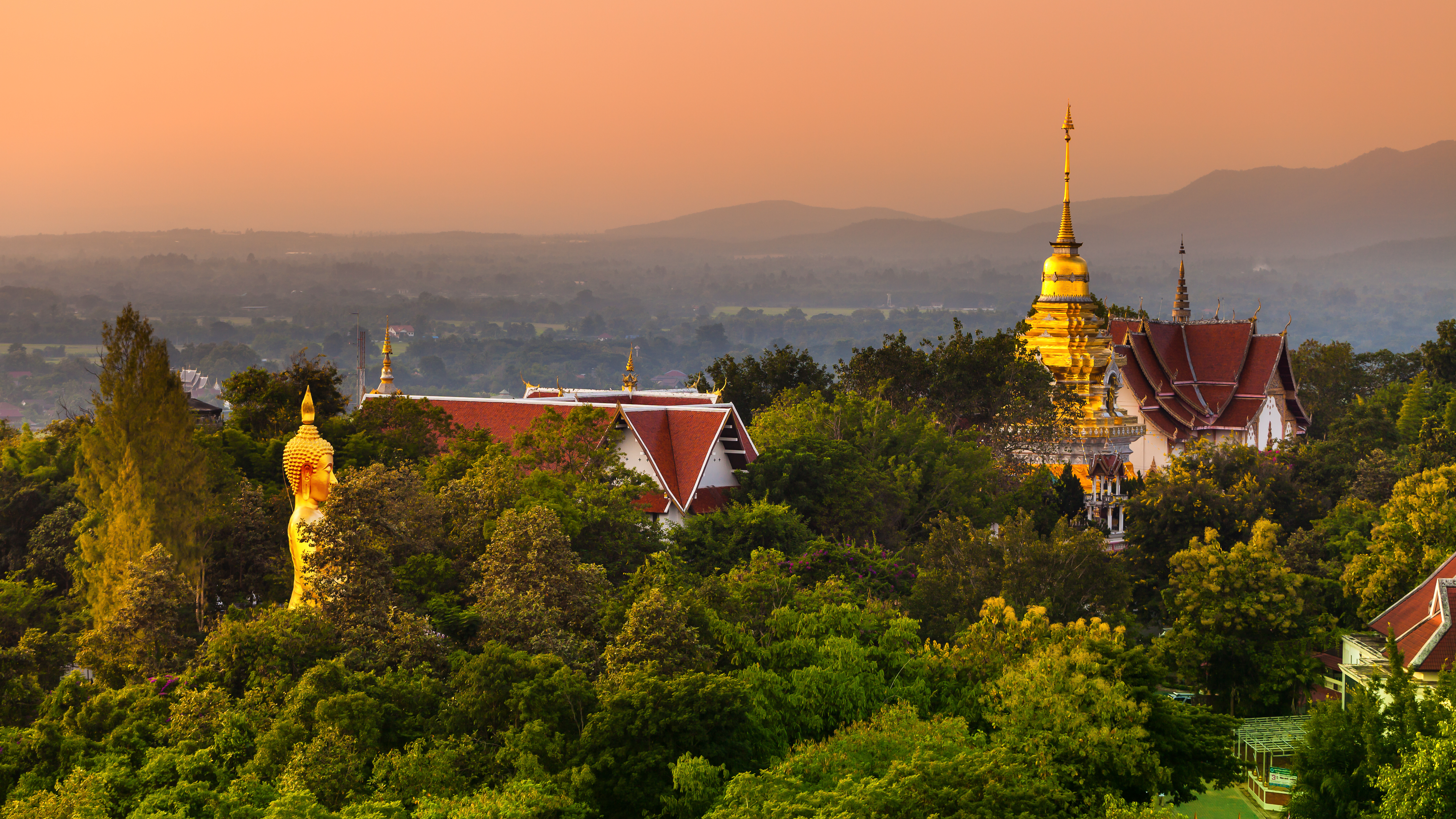 Shutterstock 493769560 (1)