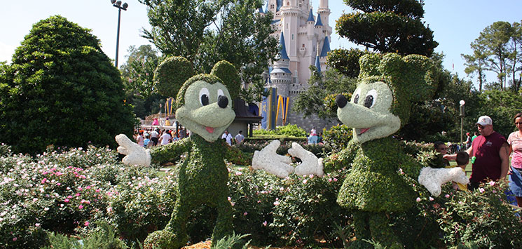 Disney-Worls---Orlando-Florida.jpg