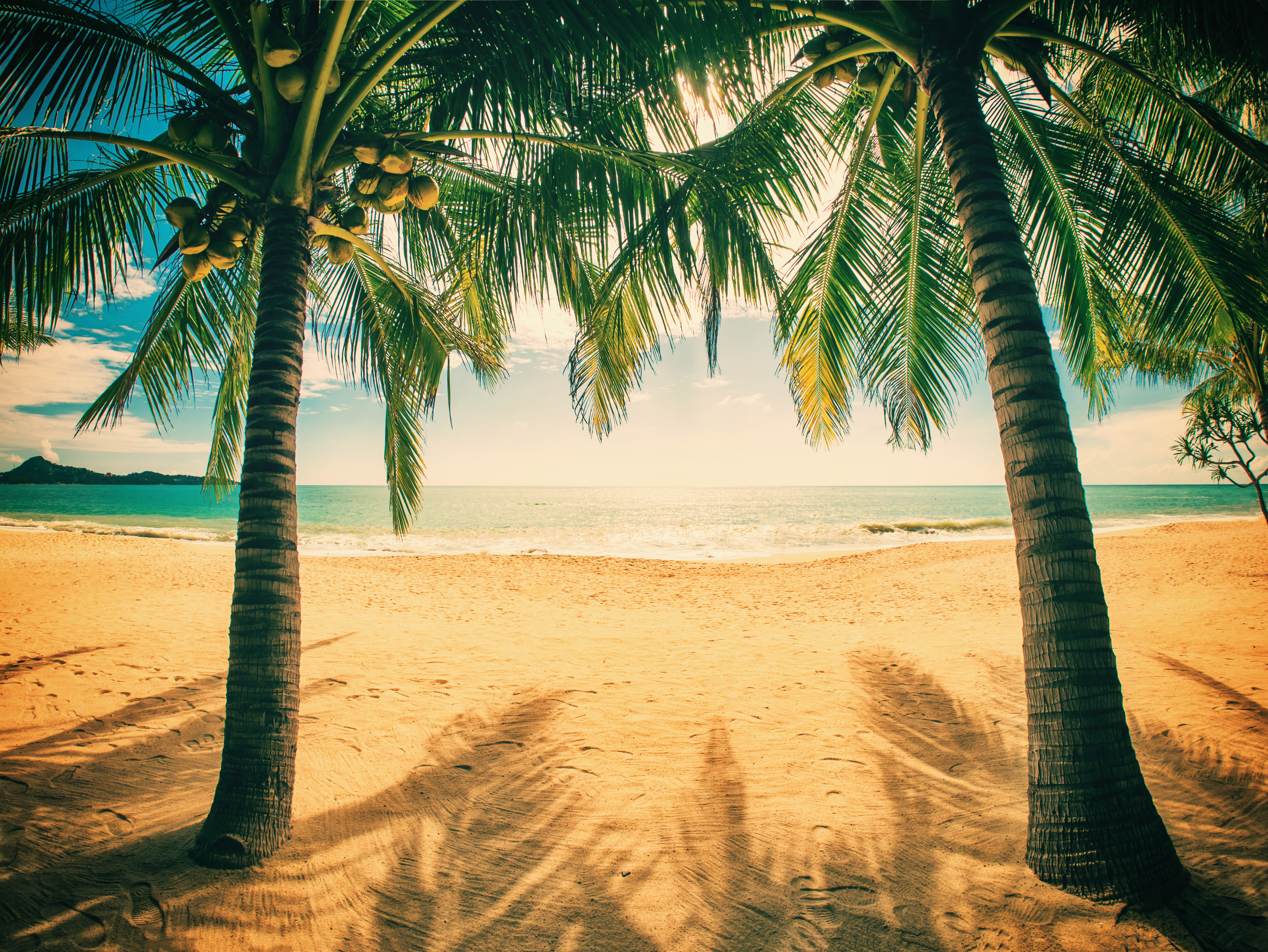 shutterstock_358818731 Tropical beach of Lamai in Koh Samui island in Thailand.jpg