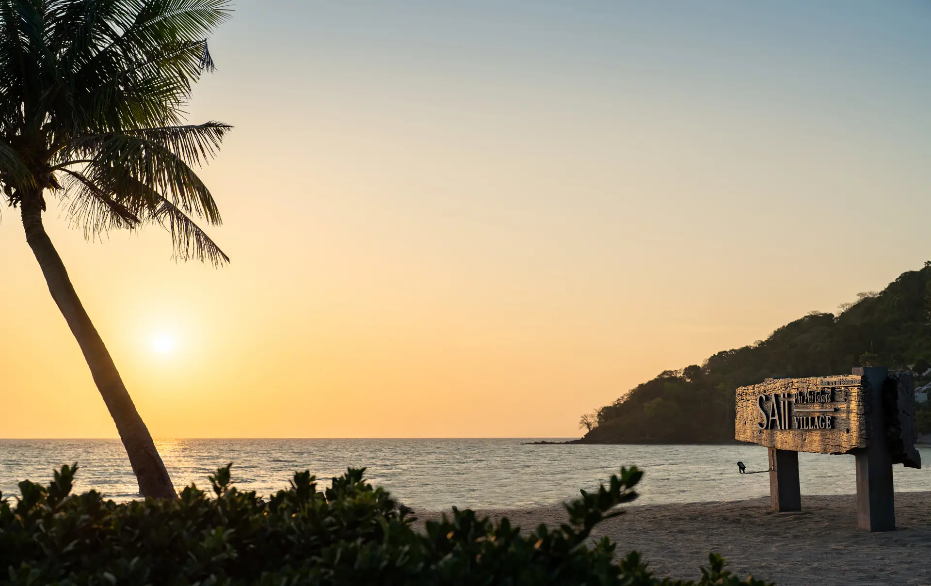 240319 Saii Phiphi Others 0006