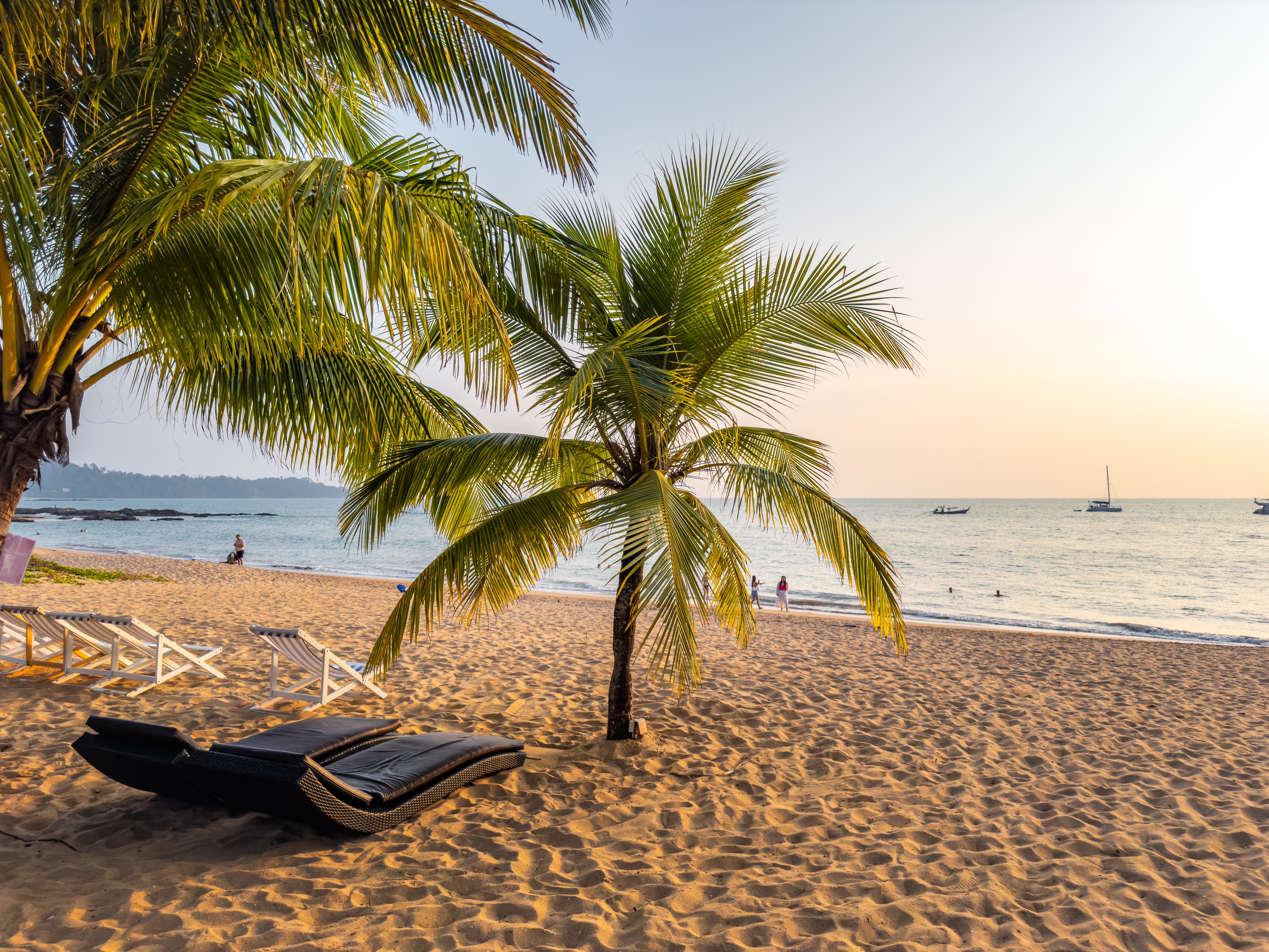 Shutterstock 2483087787