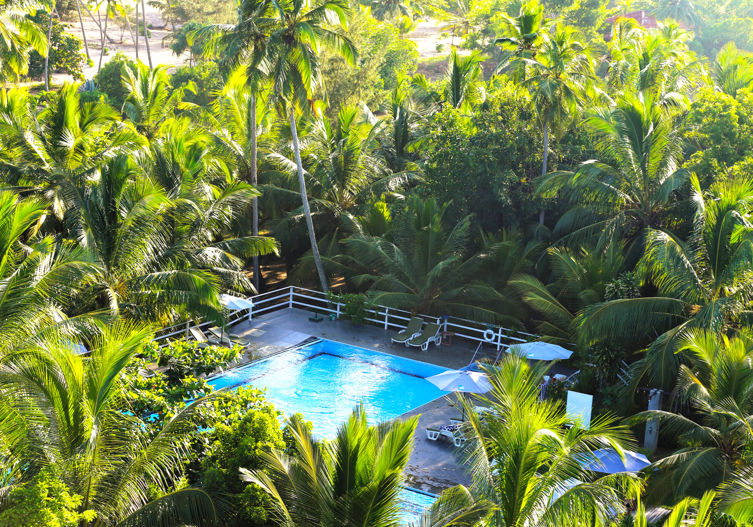 Hotel Srilanka Pool Ii Scaled