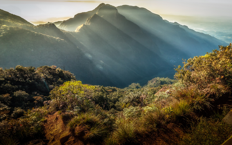 Horton Plains 2