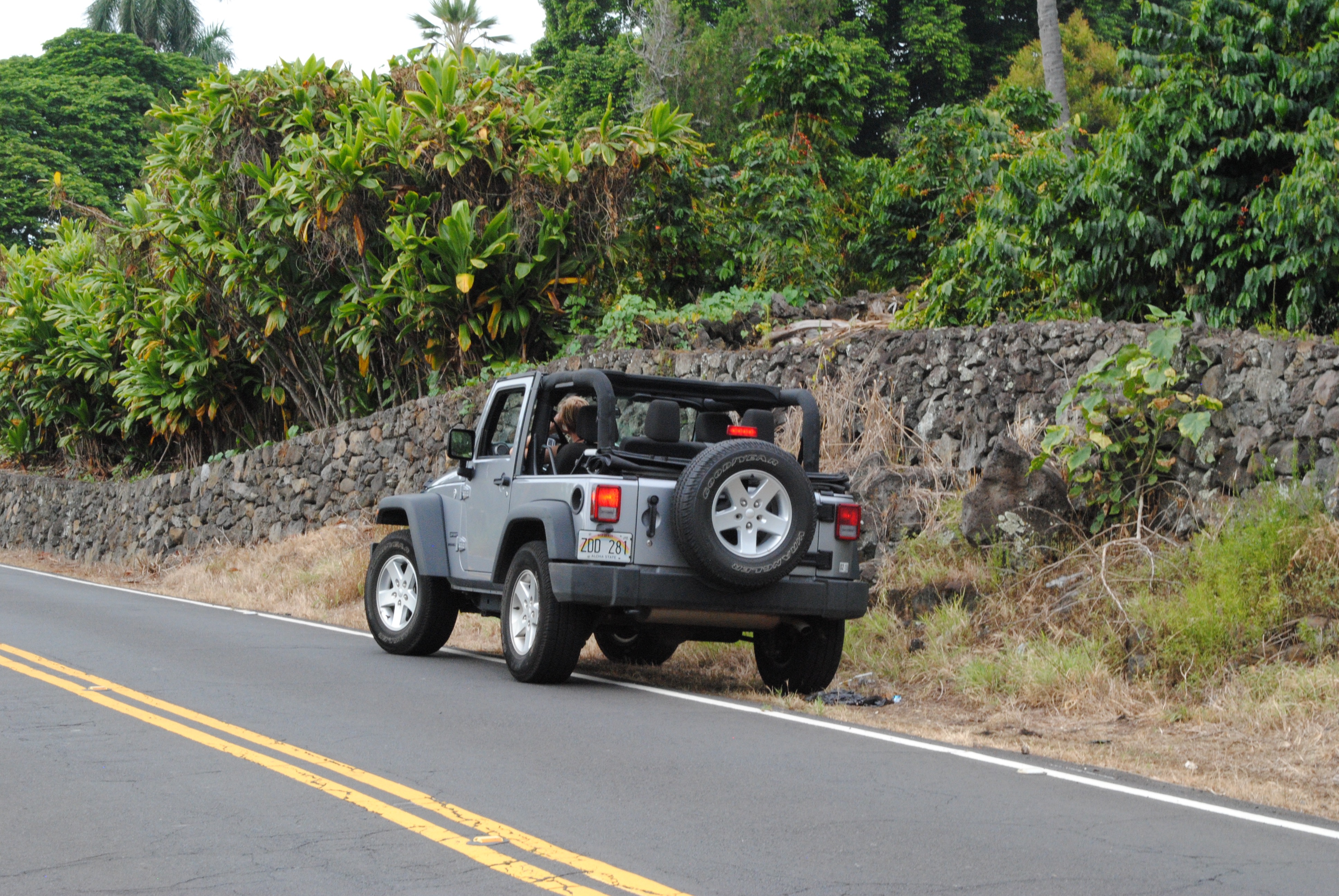 DSC_0264.jpg