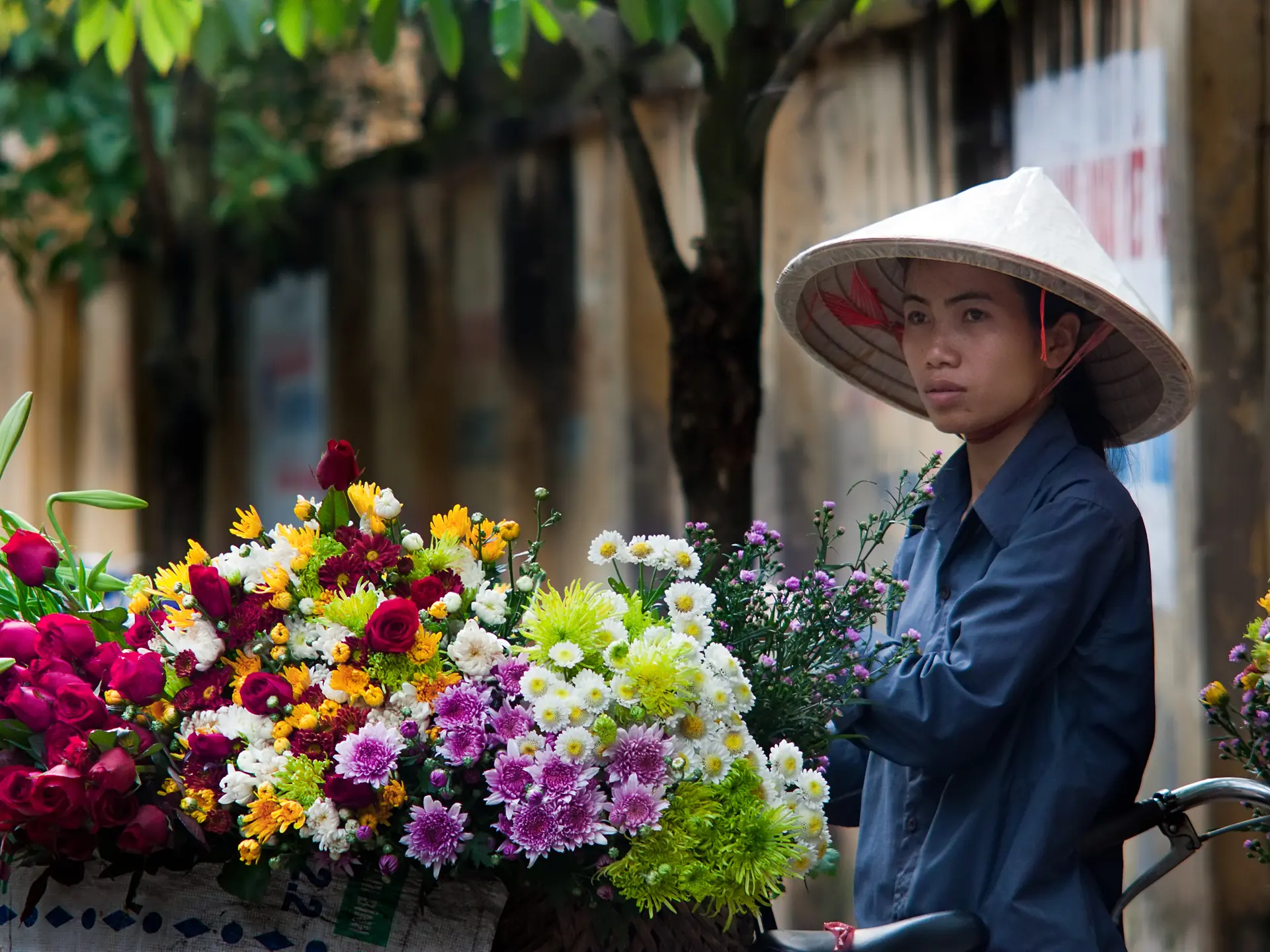 shutterstock_125079869 HANOI, VIETNAM - APRIL 21 Unidentified flower vendor at the flower small market on April 21, 2012 in Hanoi, Vietnam..jpg