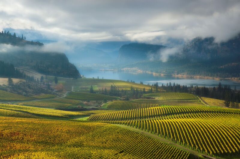 vinmarker kelowna.jpg