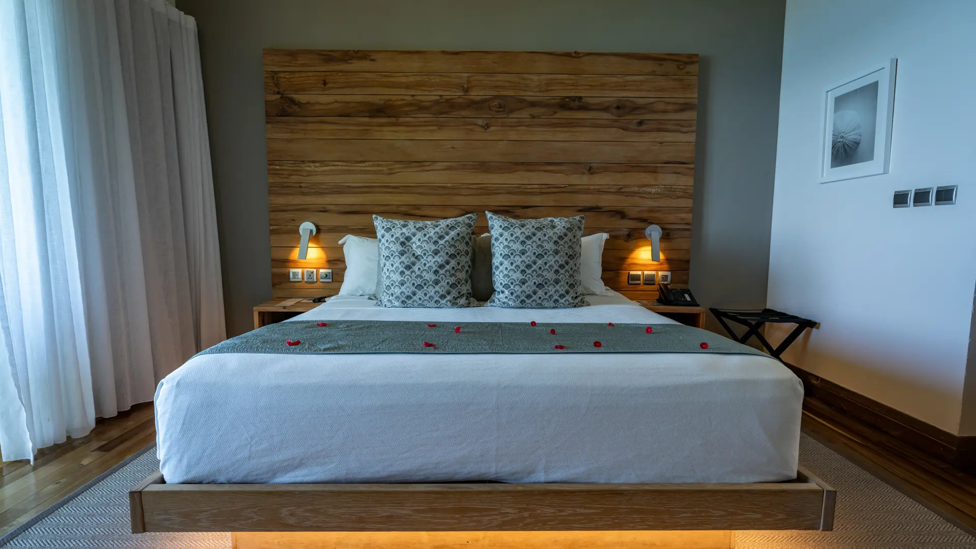 Seychelles November A7r4199